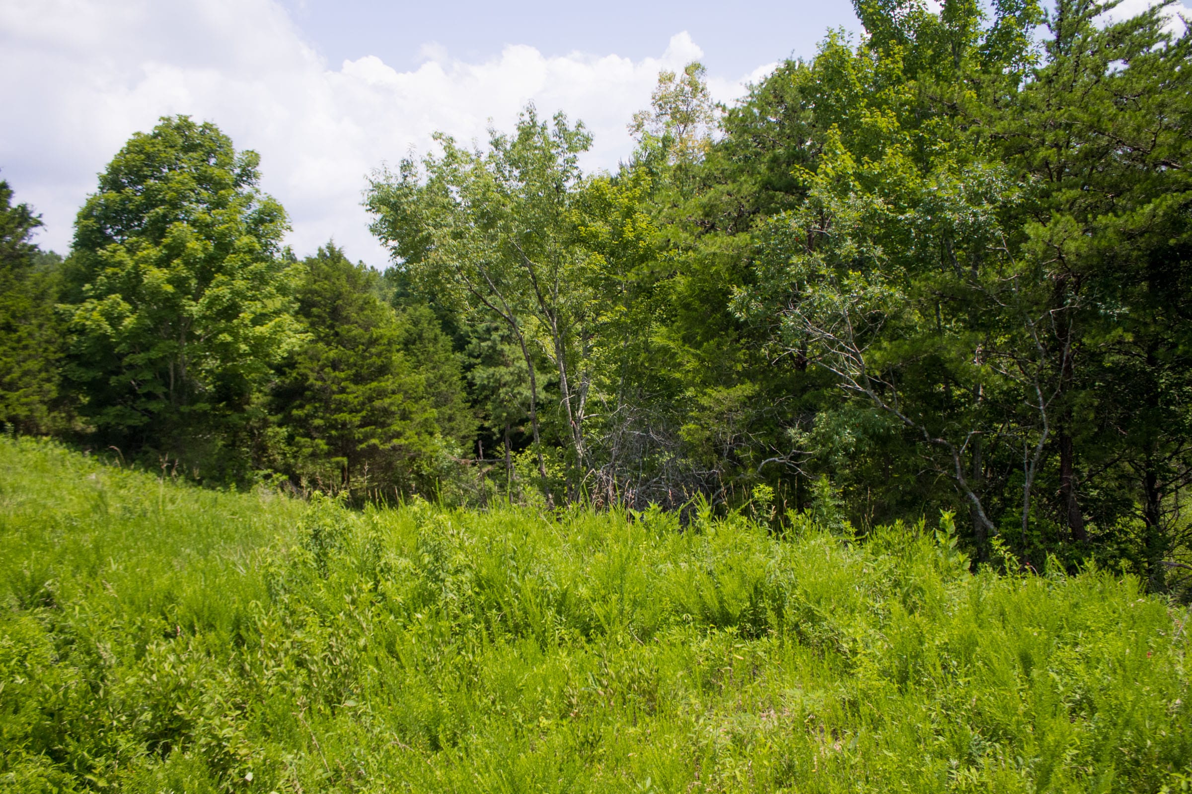 Bluewater Ridge Tract 6 photo 11