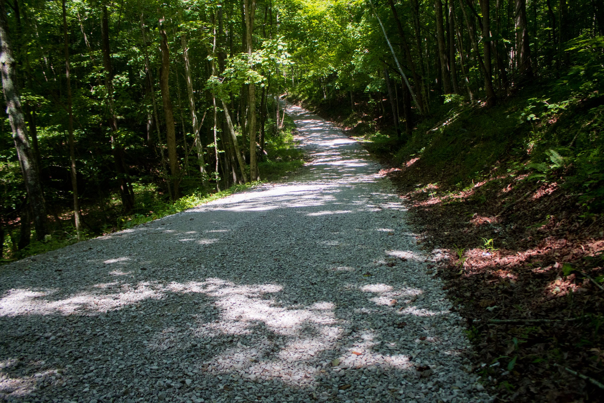Bluewater Ridge Tract 6 photo 1