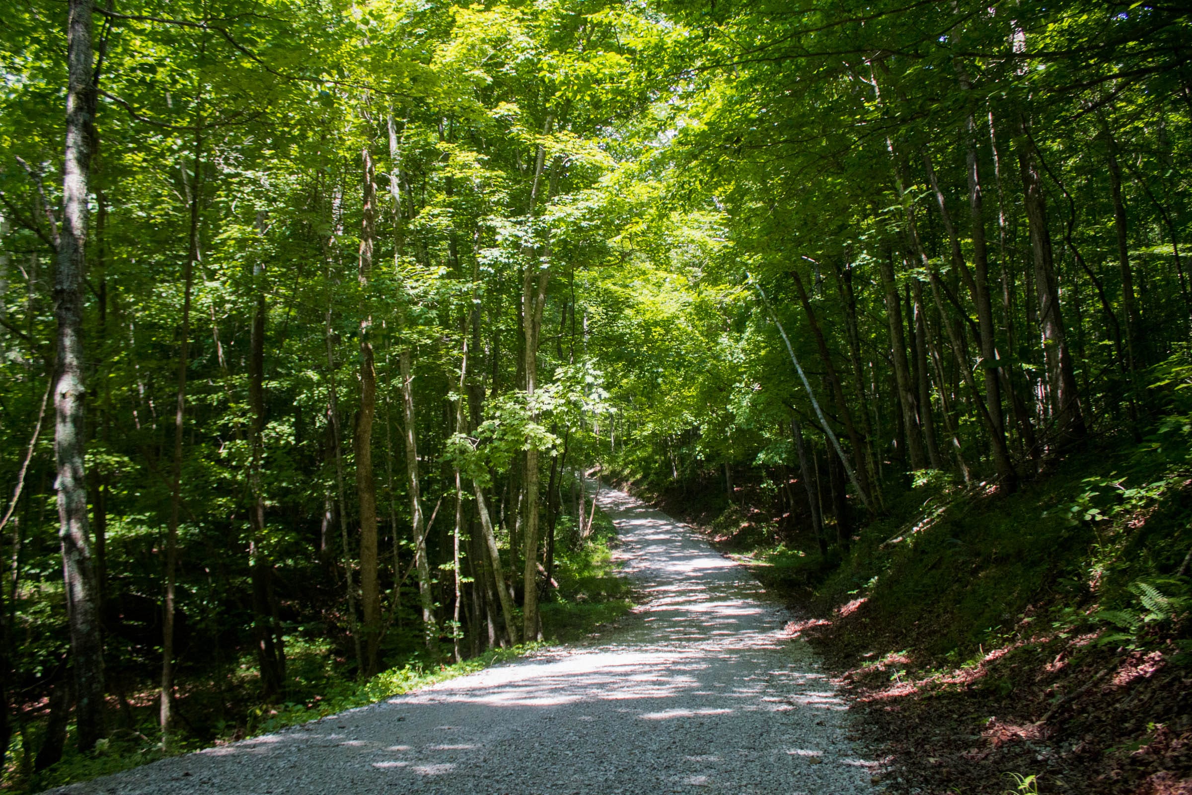 Bluewater Ridge Tract 6 photo 6