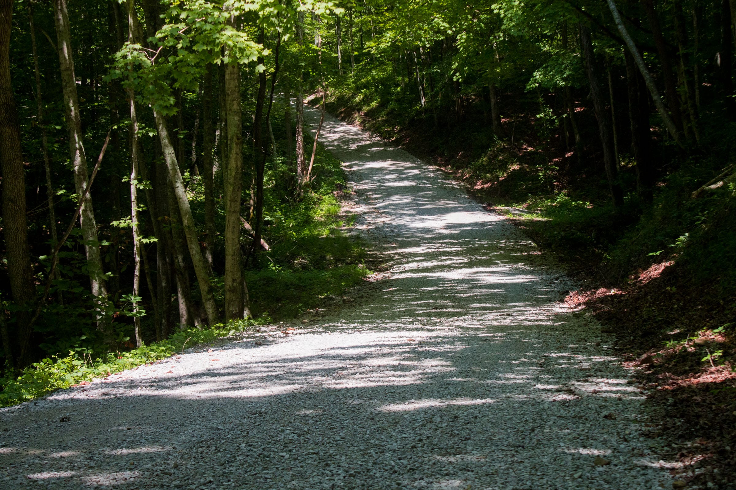 Bluewater Ridge Tract 6 photo 12