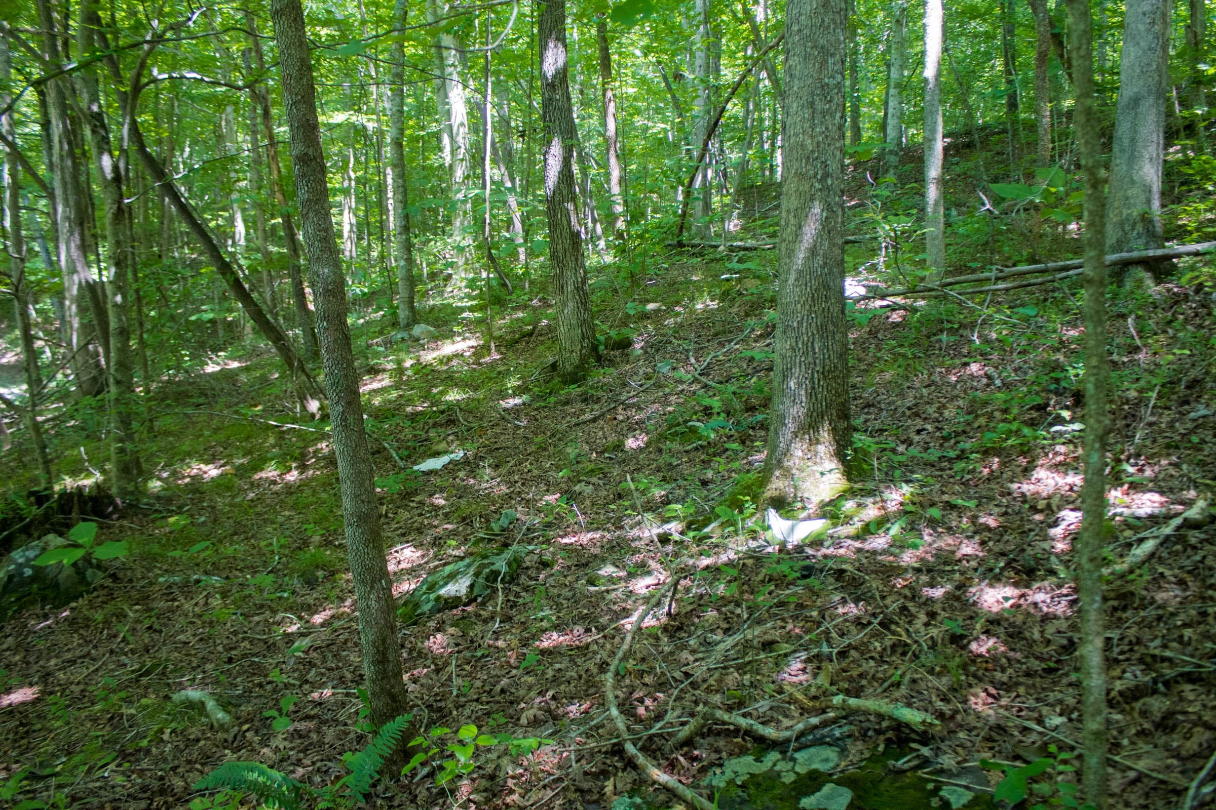Bluewater Ridge Tract 6 photo 13