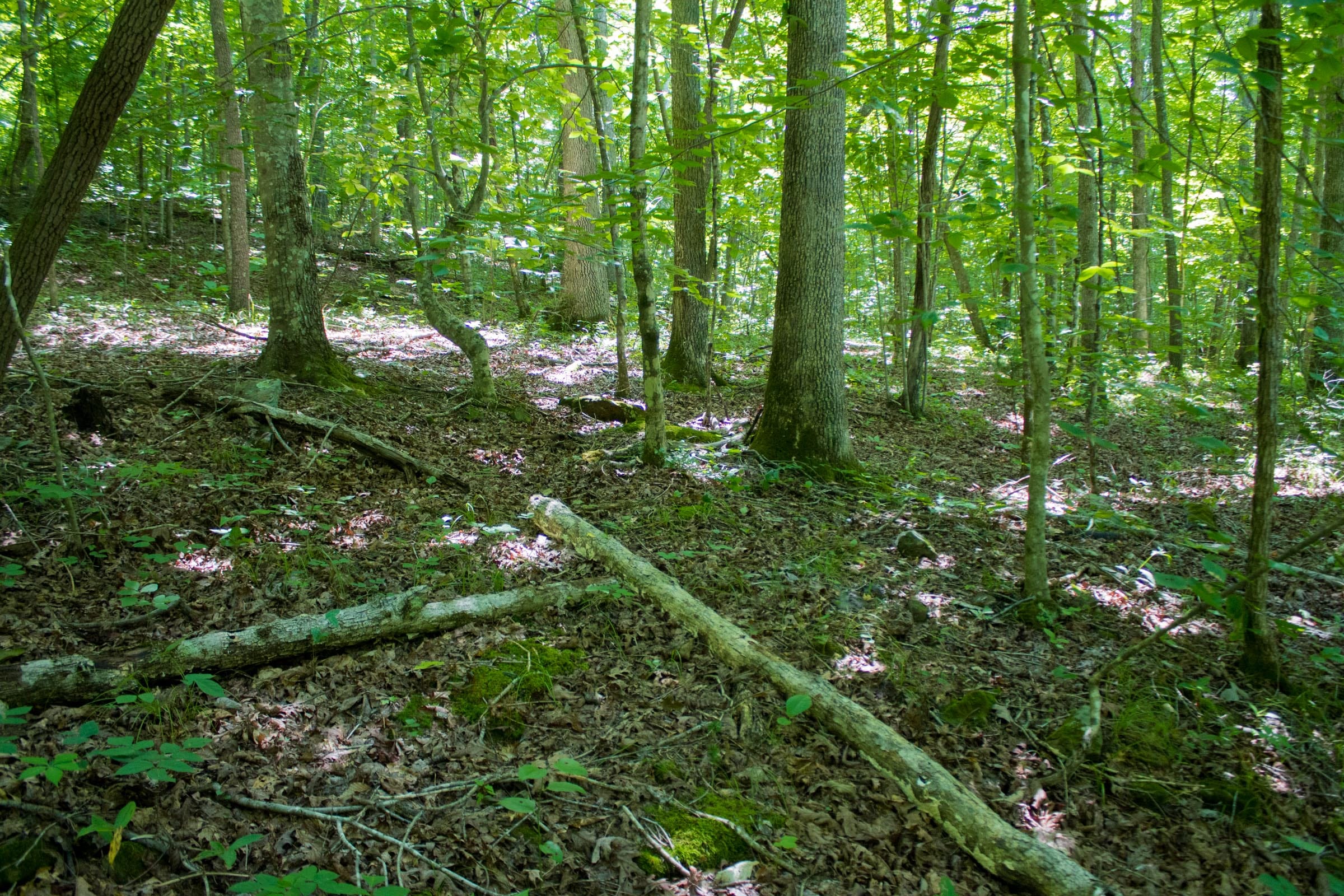 Bluewater Ridge Tract 6 photo 14