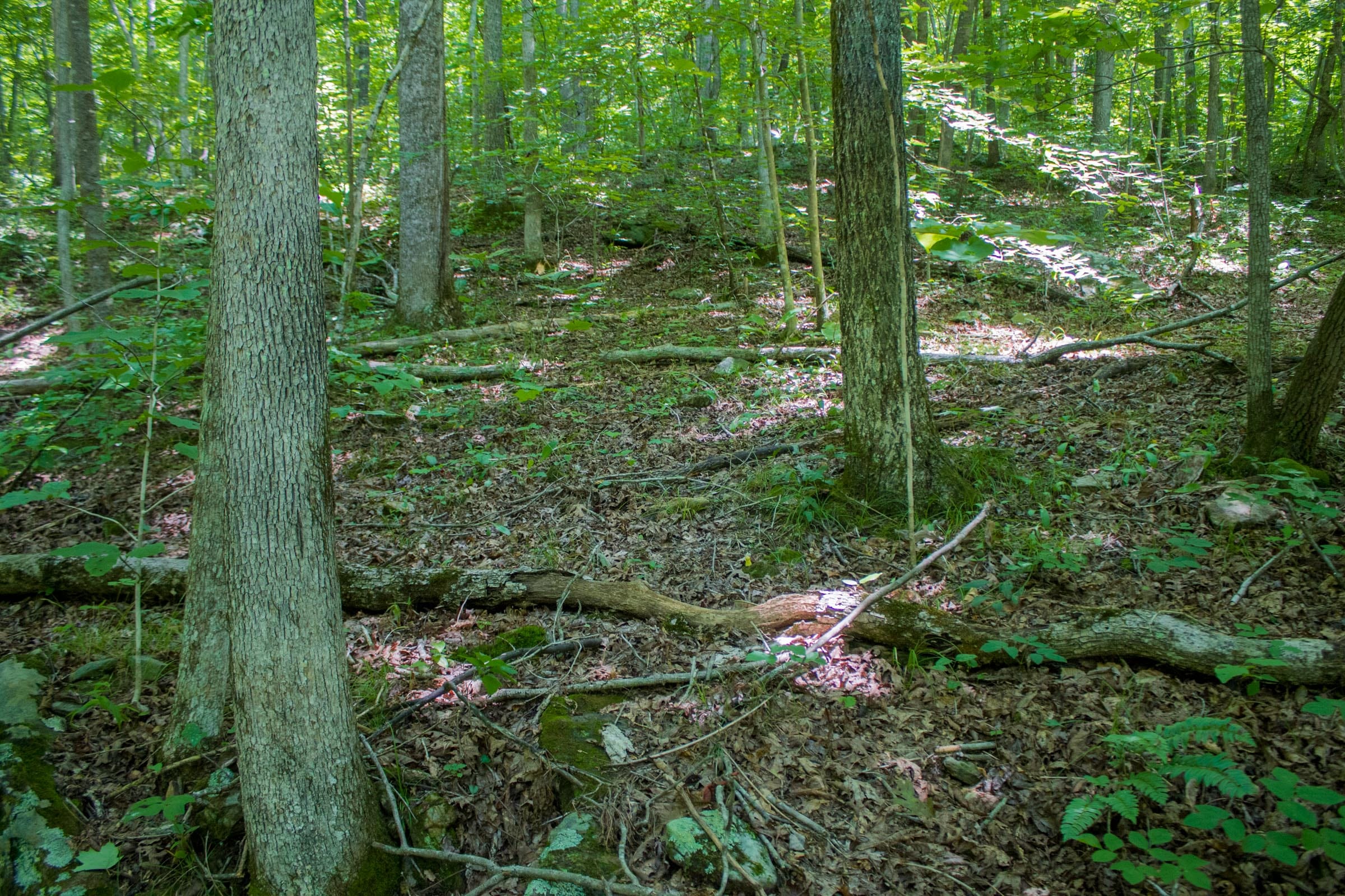Bluewater Ridge Tract 6 photo 15