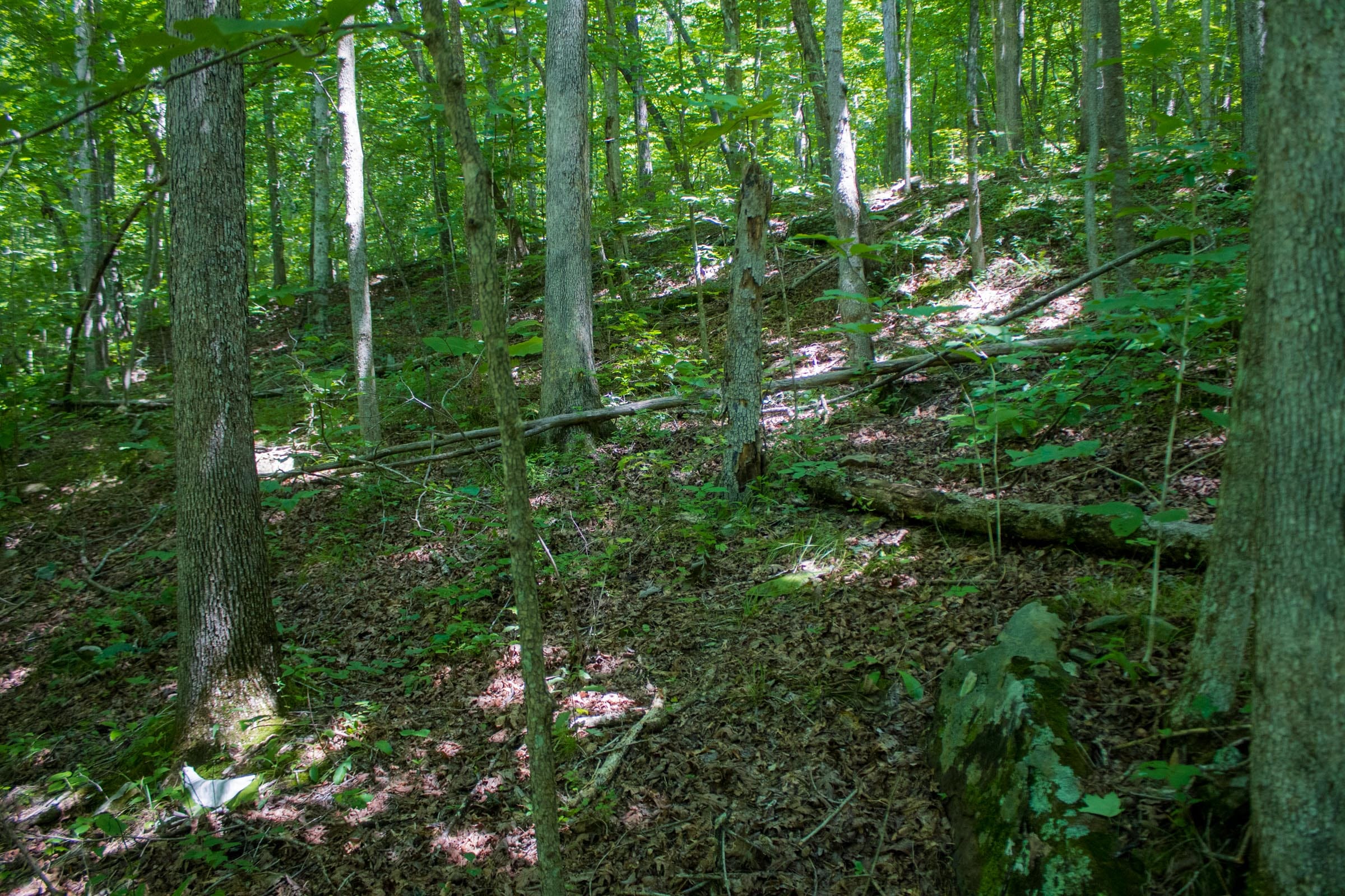 Bluewater Ridge Tract 6 photo 16