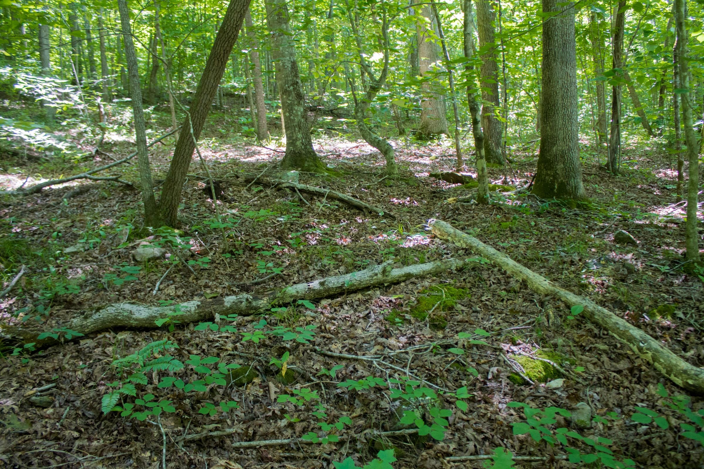 Bluewater Ridge Tract 6 photo 17