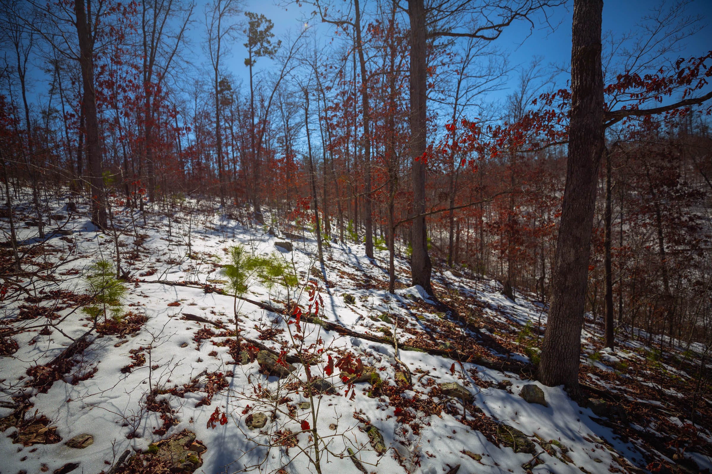 Sleepy Hollow Phase I Tract 26 photo 17