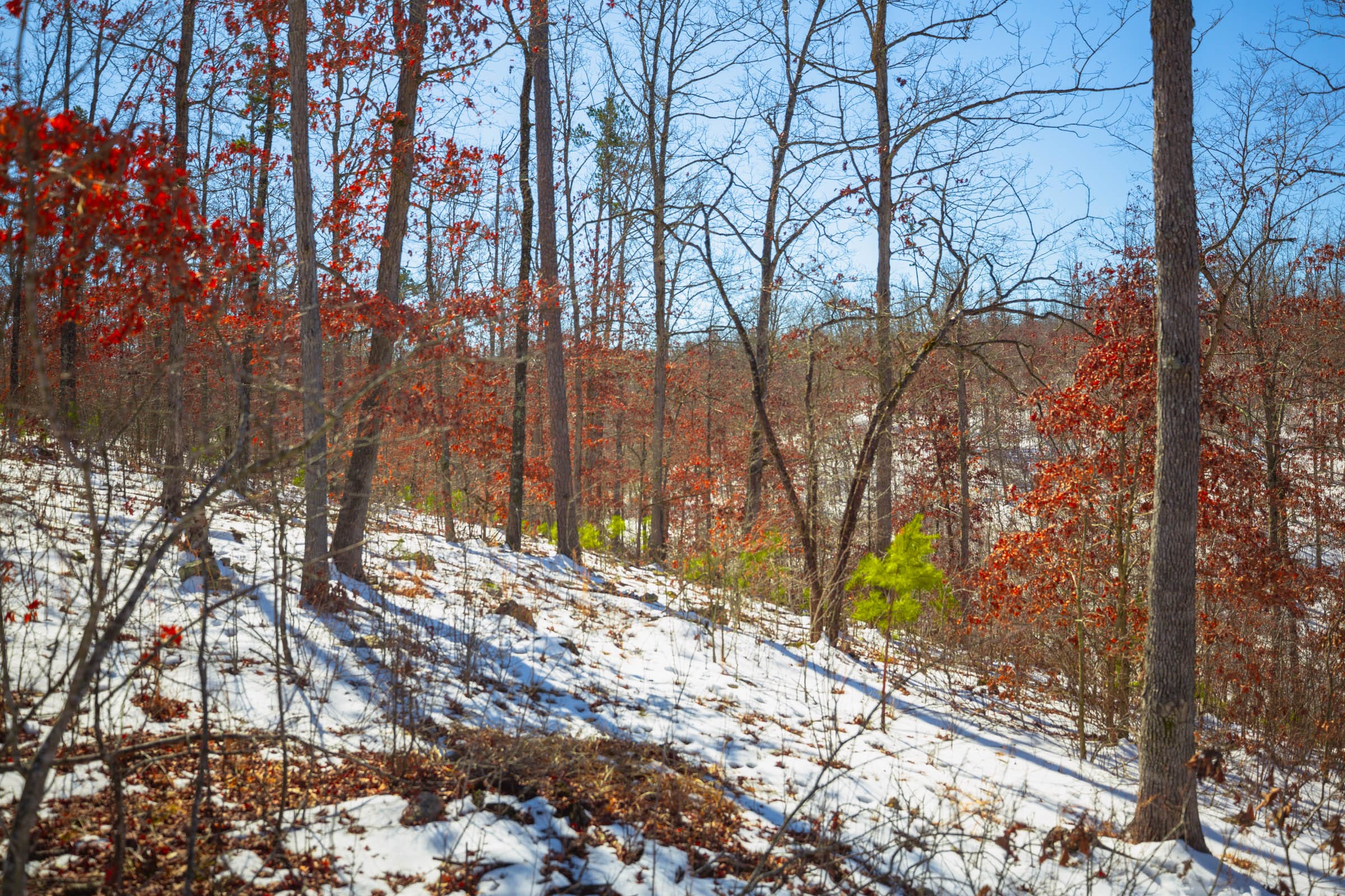 Sleepy Hollow Phase I Tract 26 photo 12