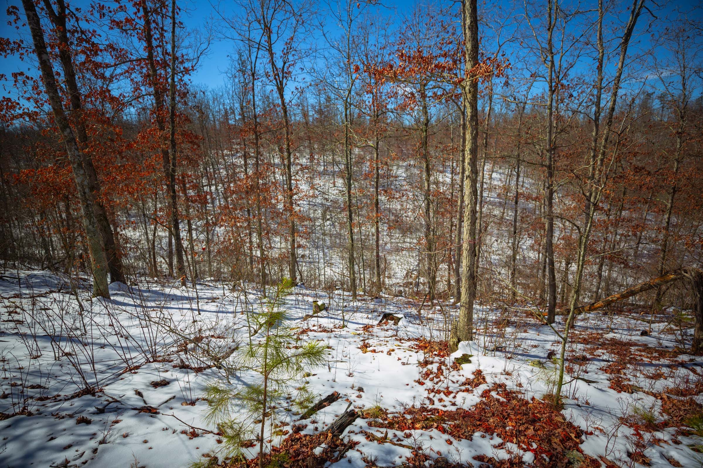 Sleepy Hollow Phase I Tract 26 photo 5