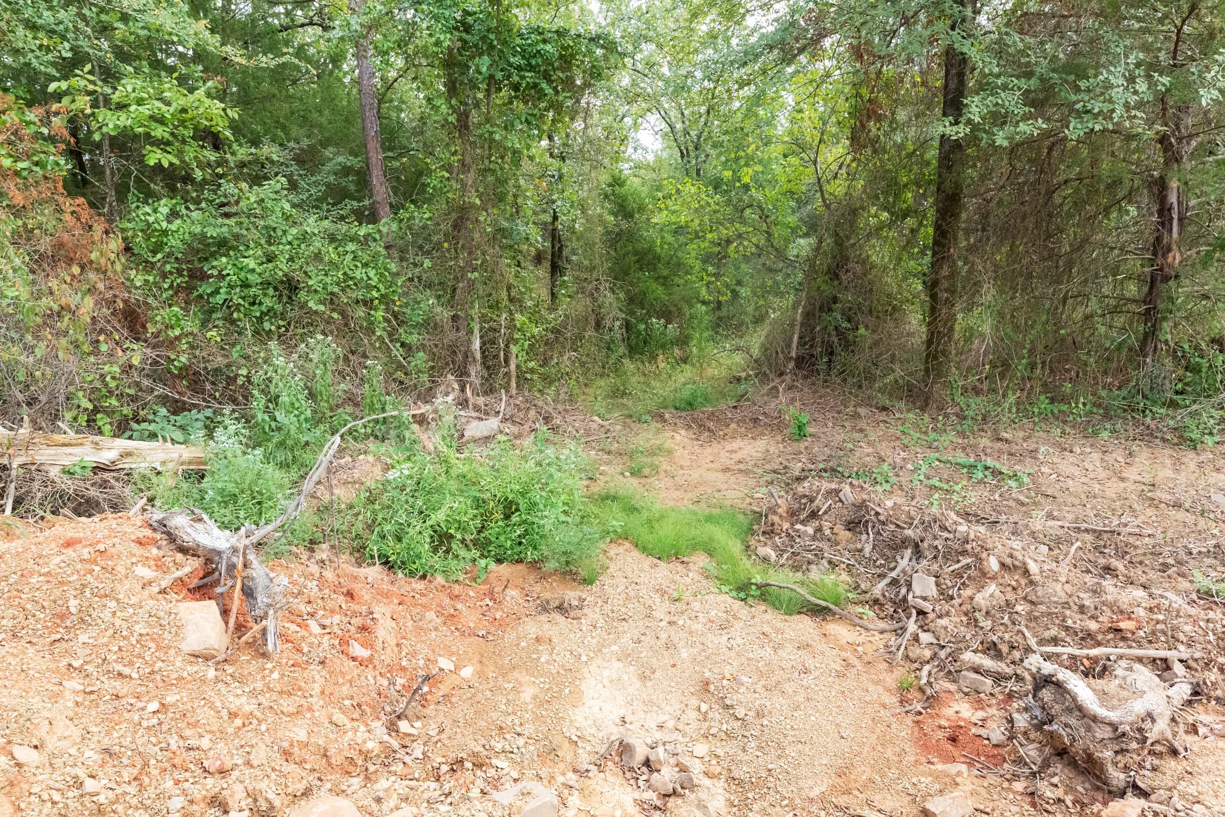 Stone Bridge Phase V Tract 405 photo 11