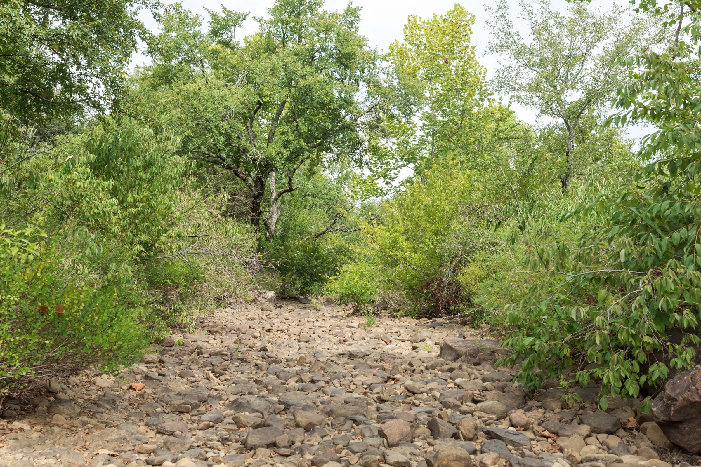 Stone Bridge Phase V Tract 405 photo 8