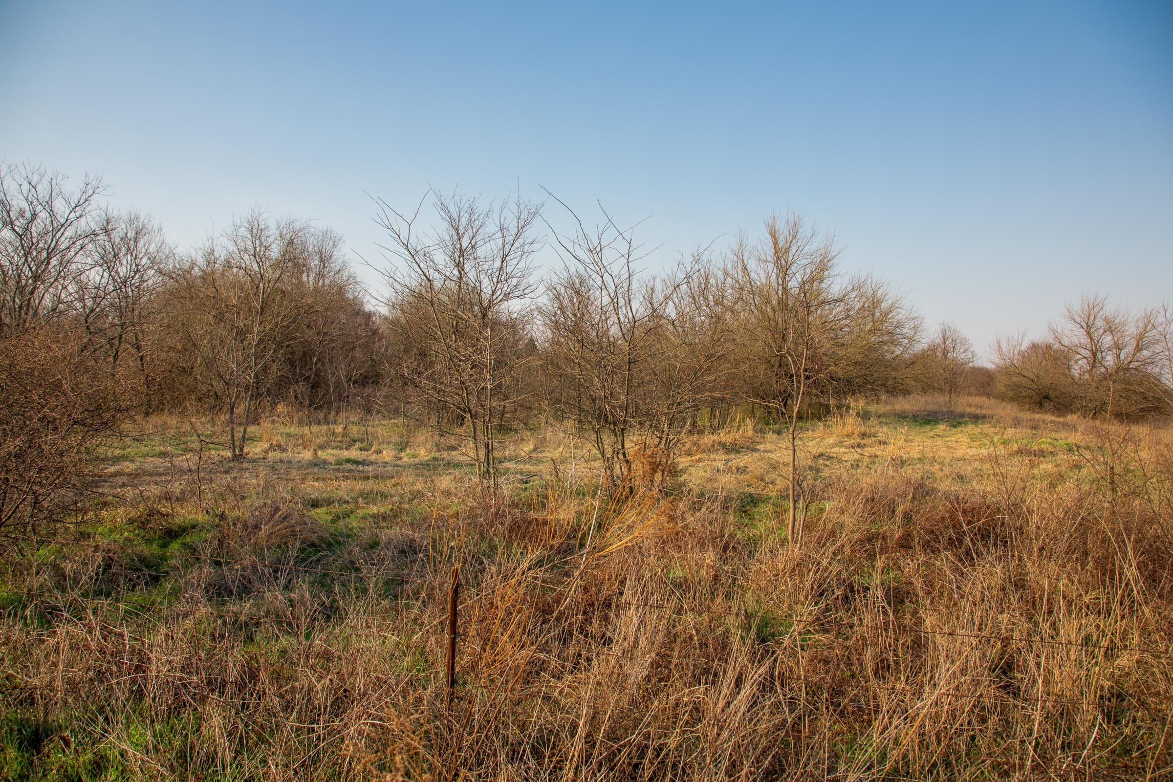 Eufaula Cove Tract 9 photo 3