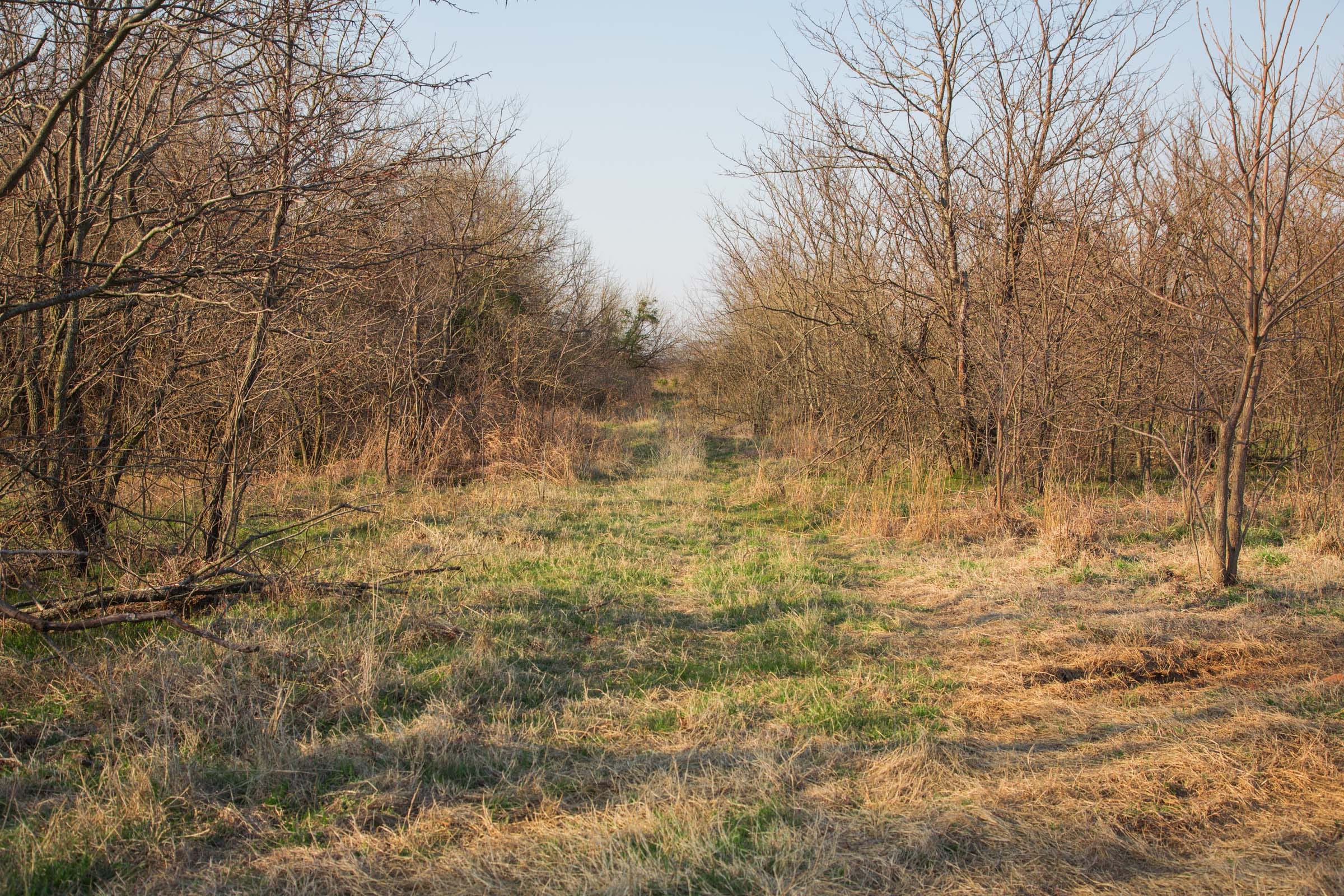 Eufaula Cove Tract 9 photo 7