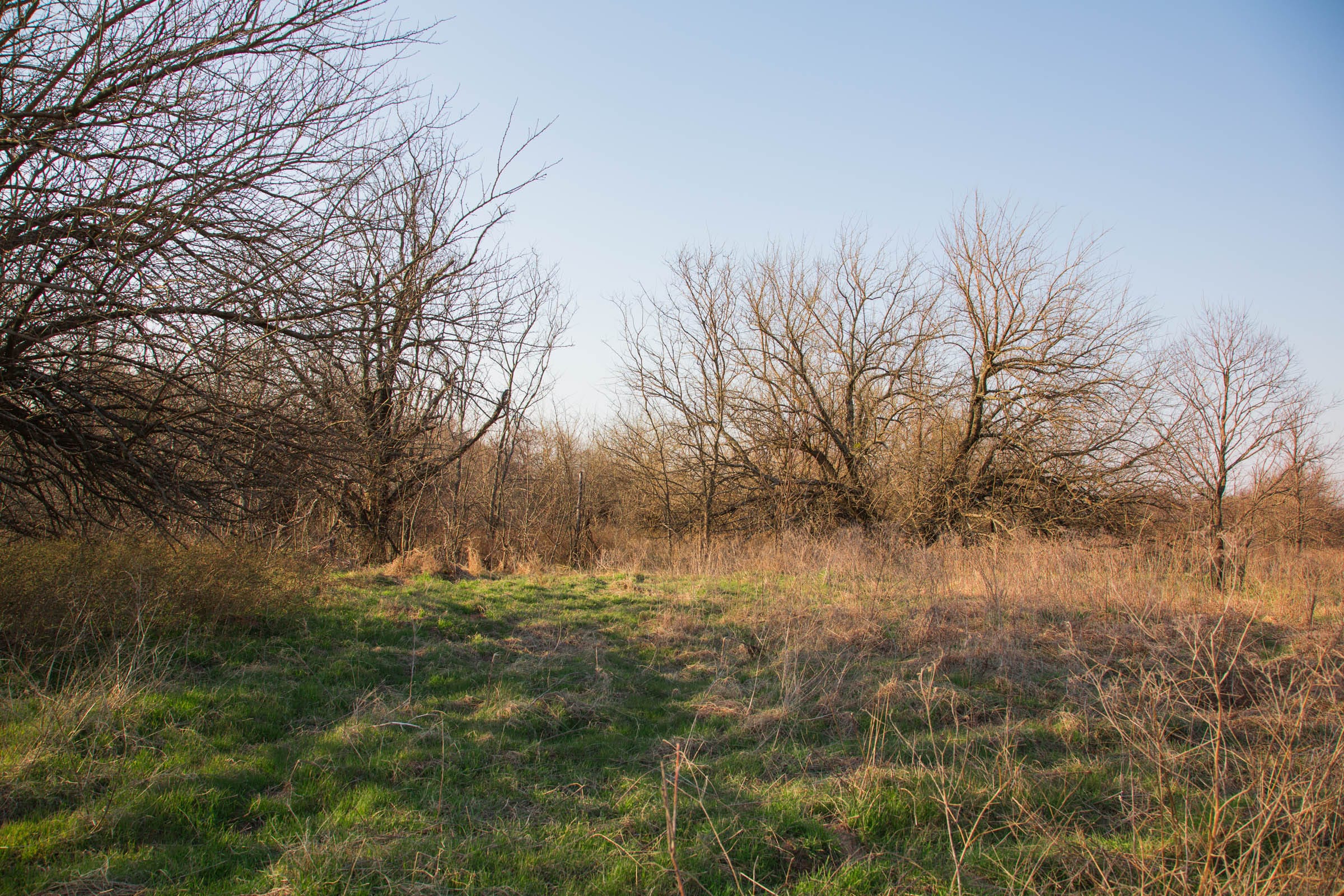 Eufaula Cove Tract 9 photo 11