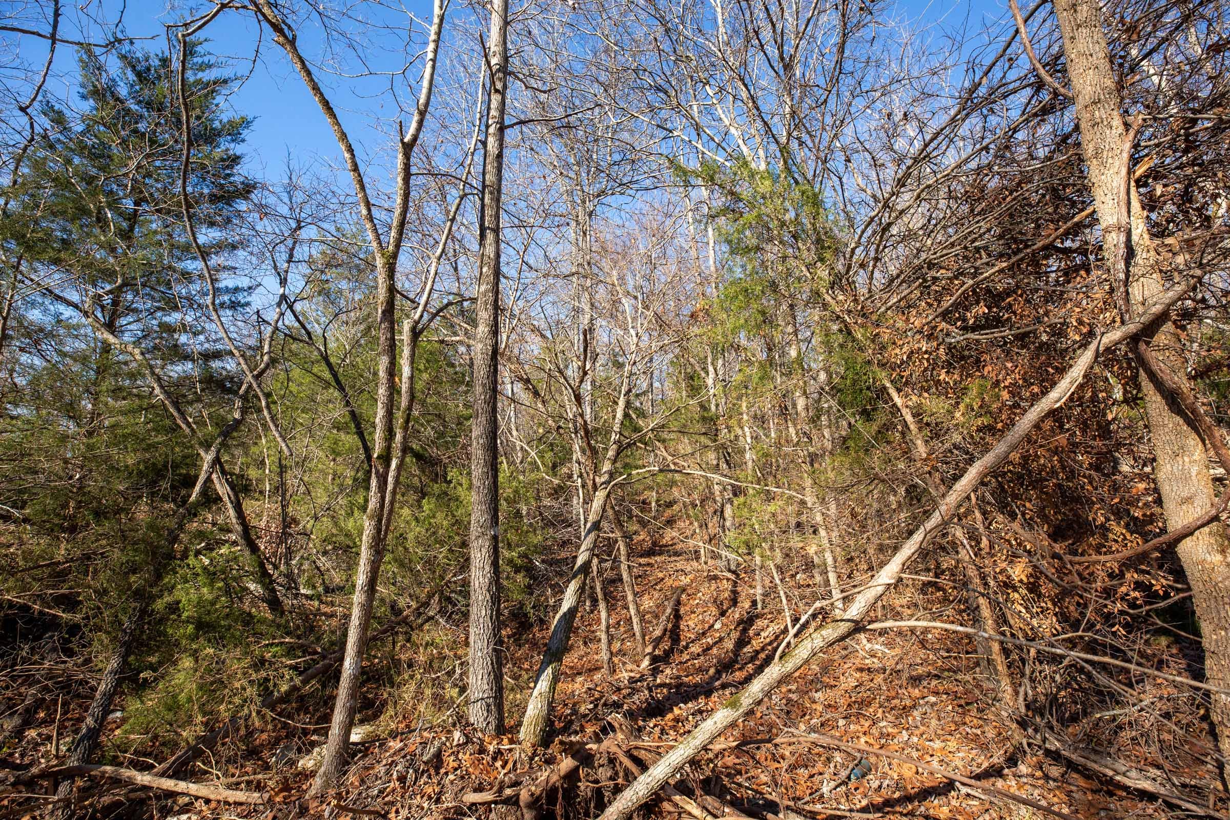 Dutchman Hollow Tract 16 photo 9