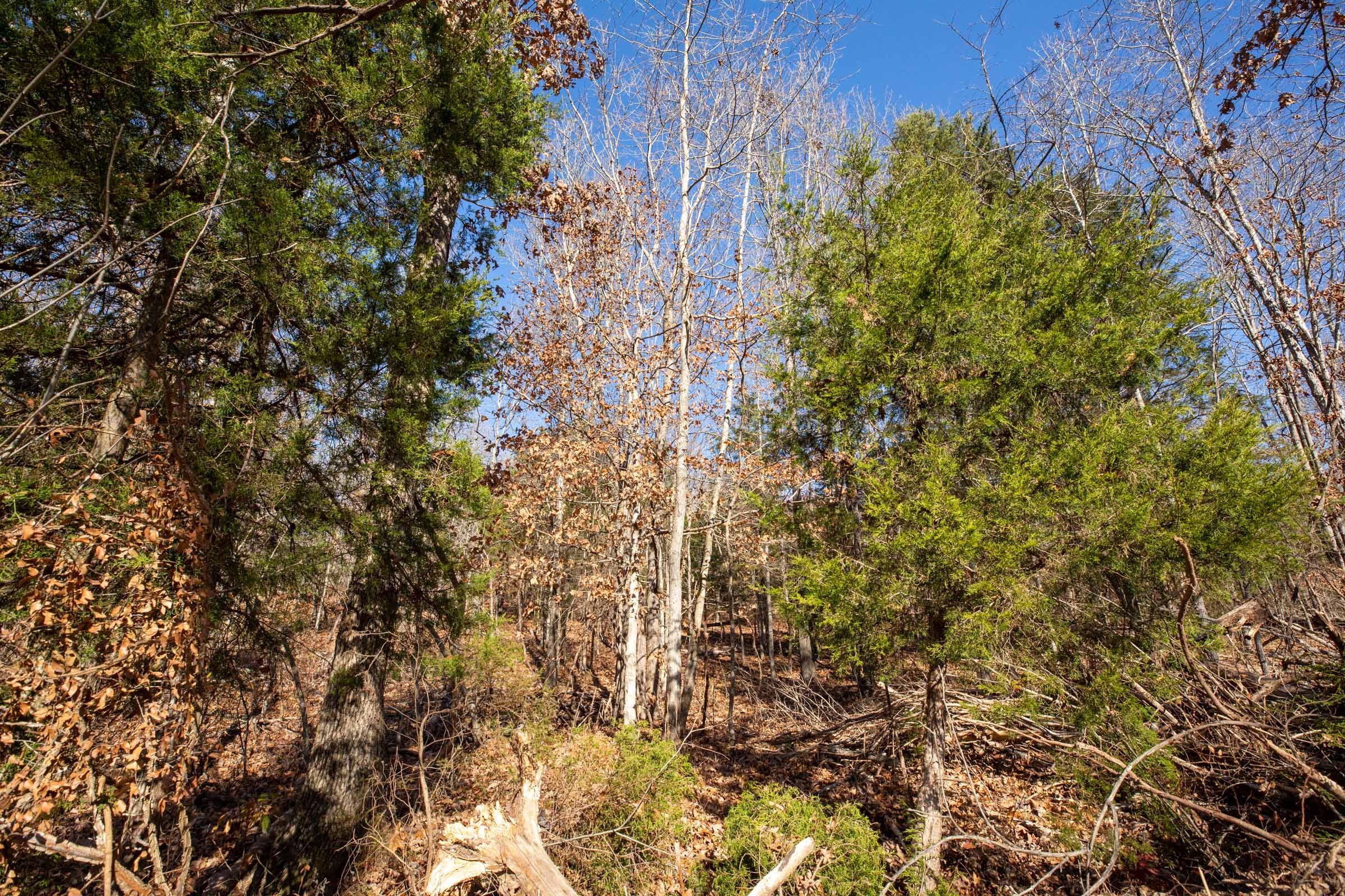 Dutchman Hollow Tract 16 photo 4