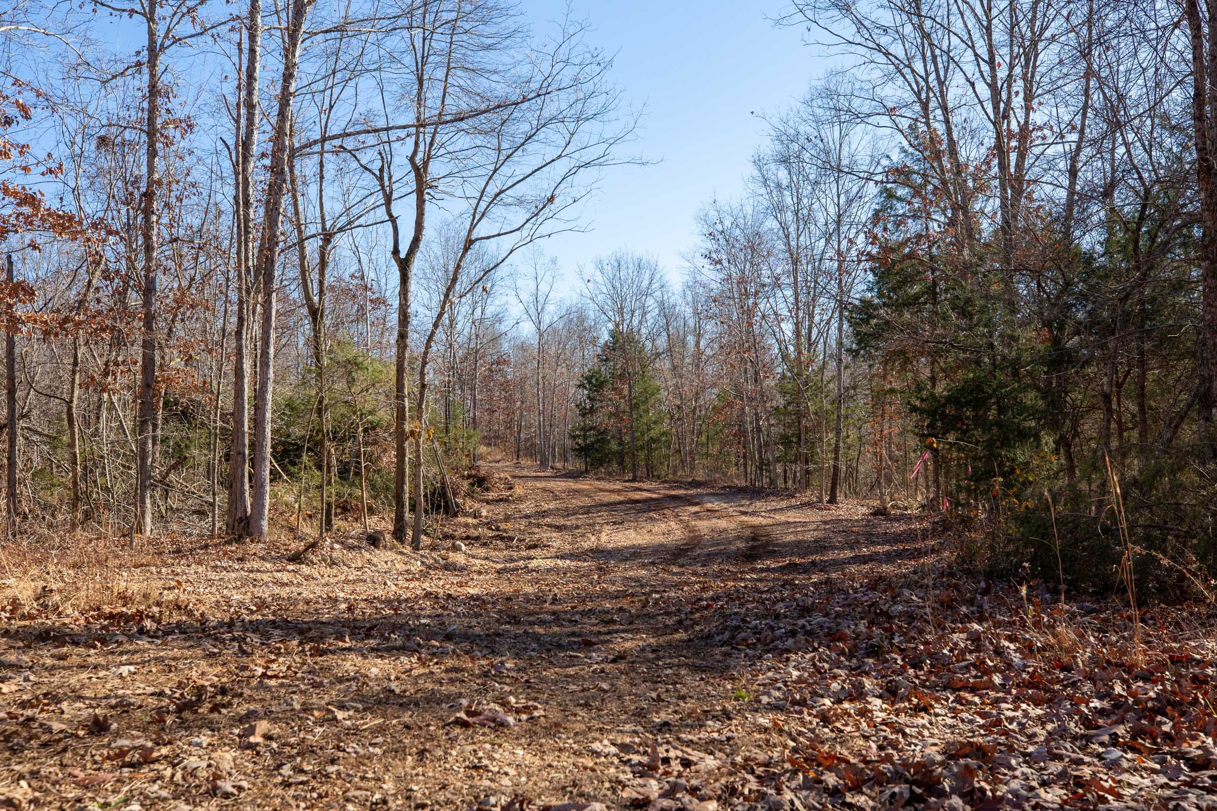 Dutchman Hollow Tract 16 photo 2
