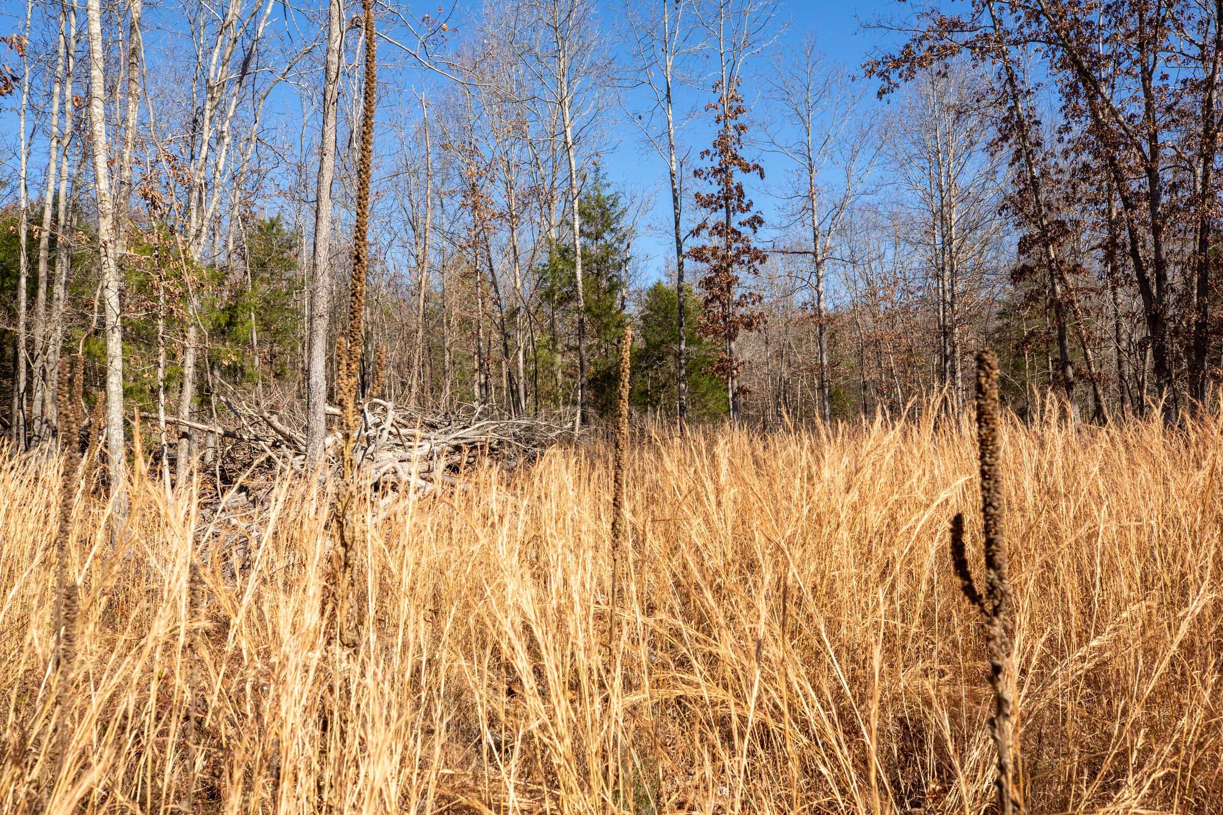 Dutchman Hollow Tract 16 photo 8