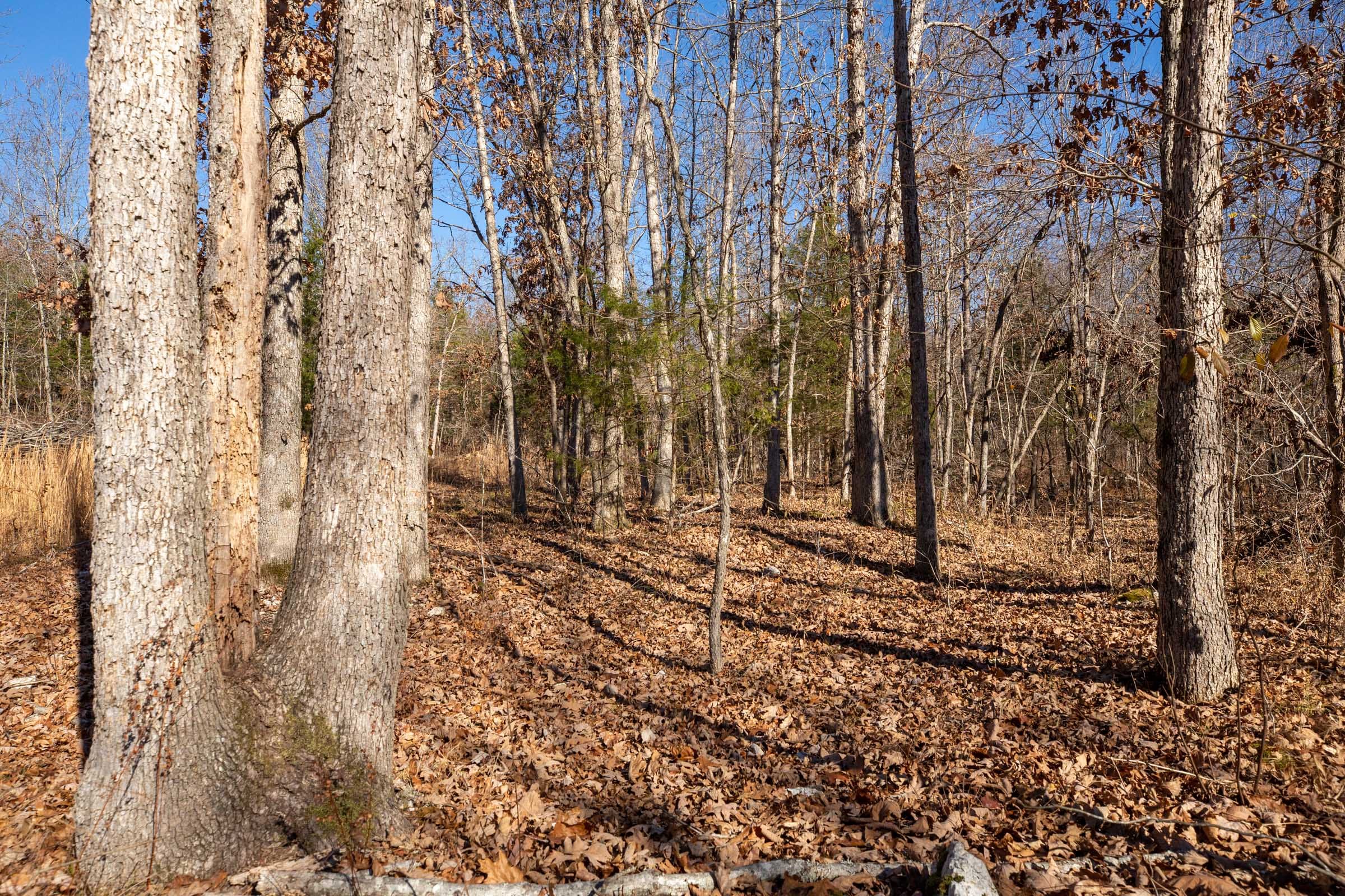 Dutchman Hollow Tract 16 photo 6