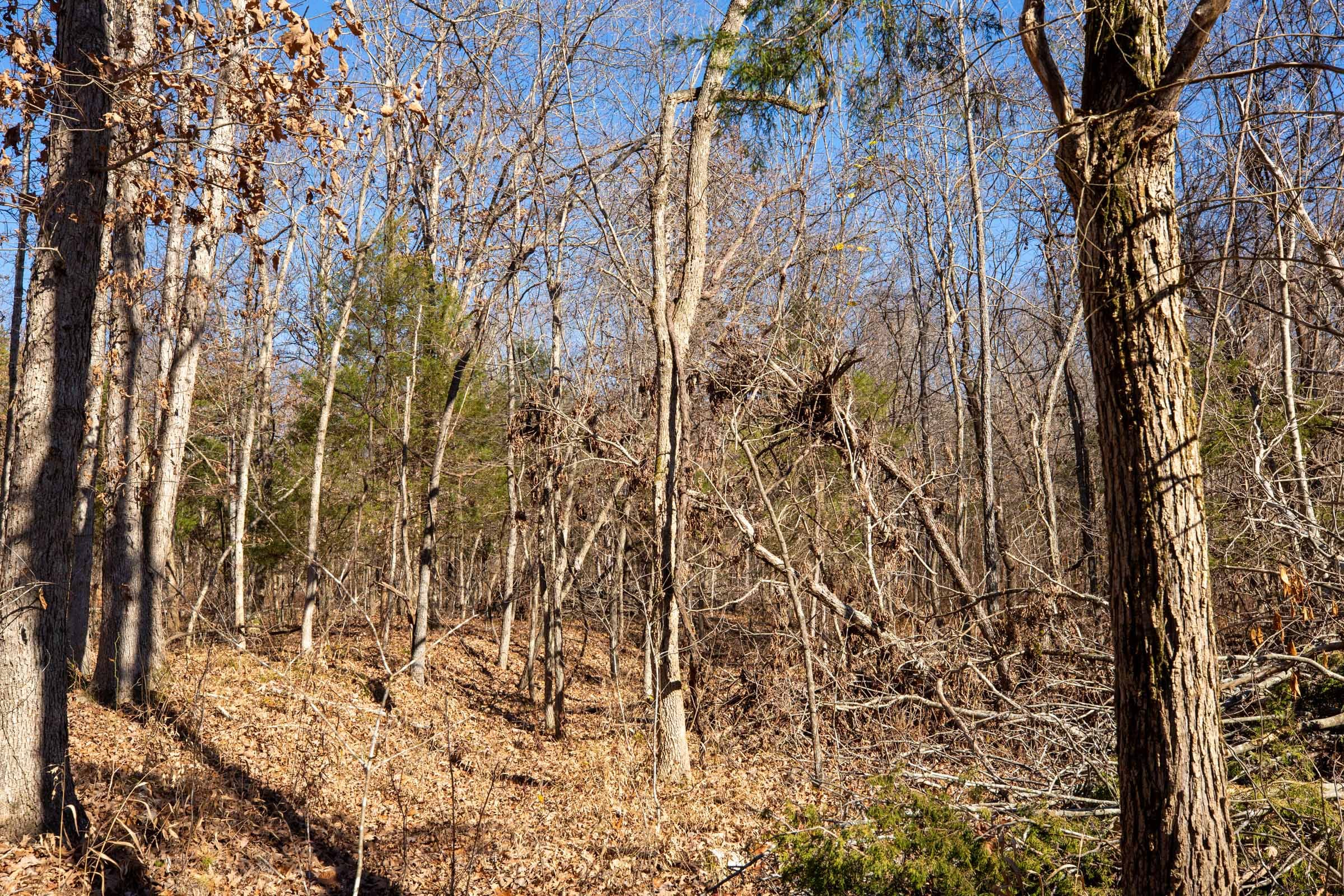 Dutchman Hollow Tract 16 photo 5