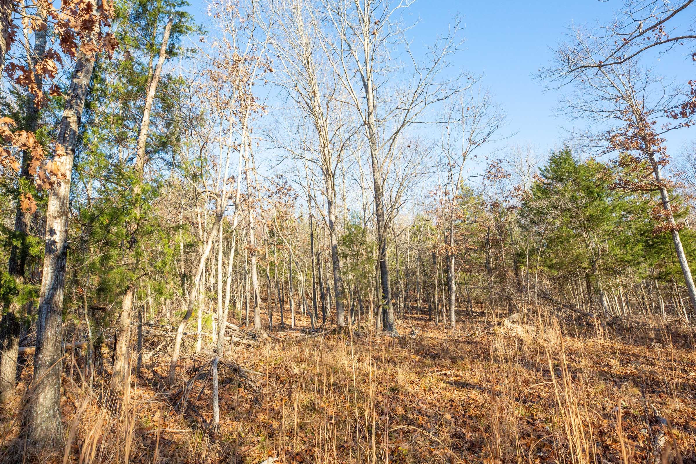 Dutchman Hollow Tract 16 photo 3