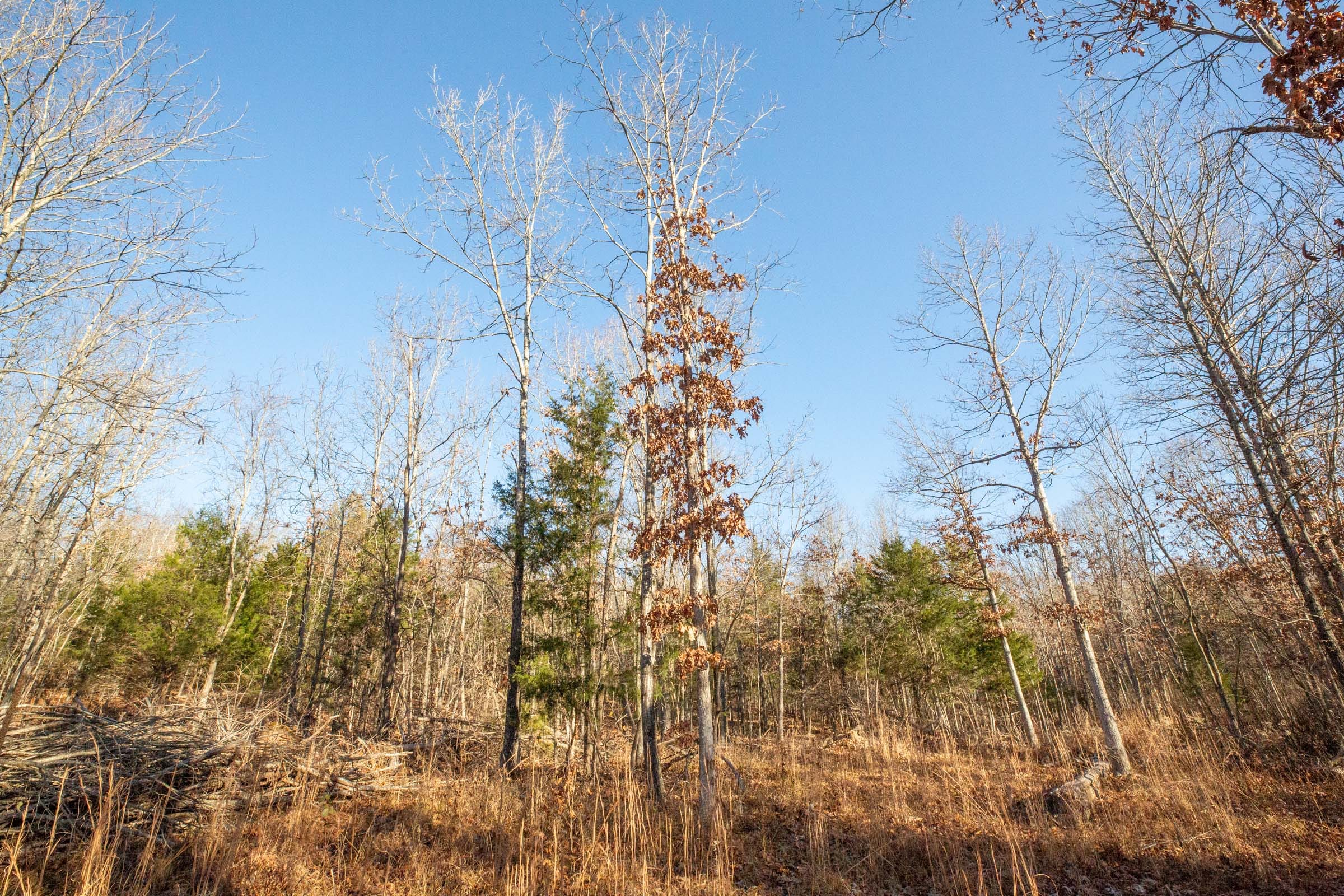 Dutchman Hollow Tract 16 photo 1