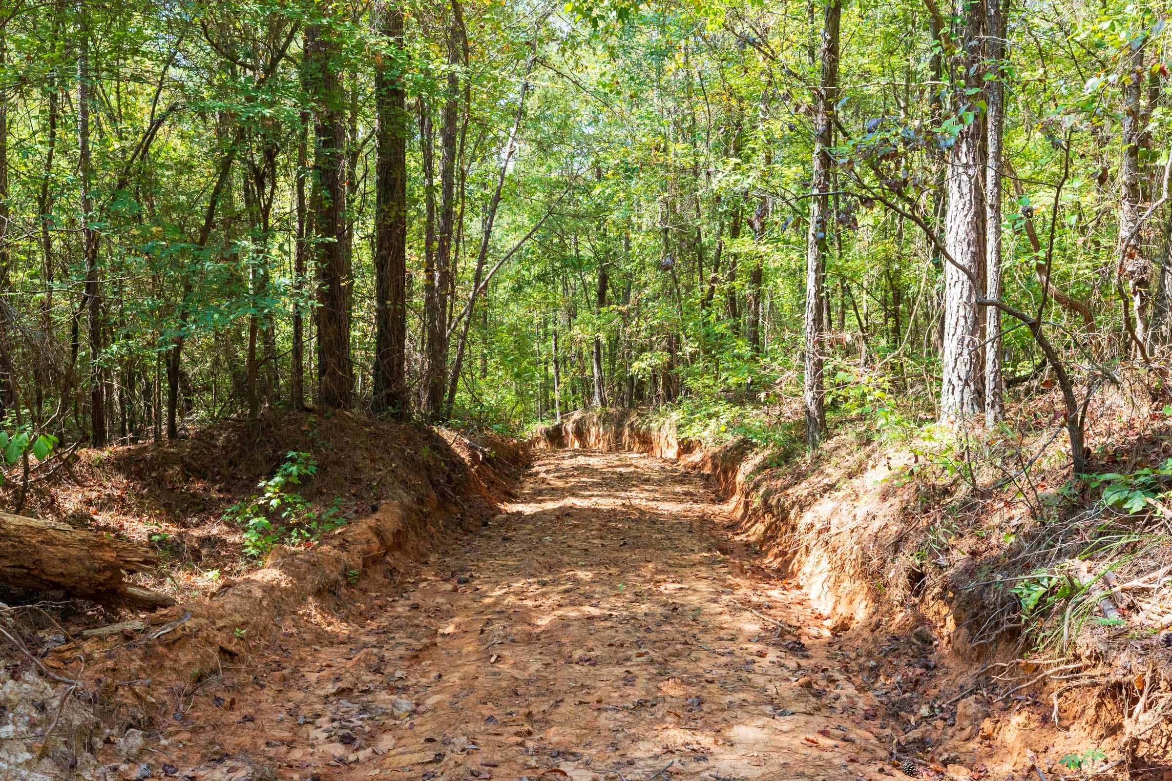 Willow Grove Tract 12 photo 4
