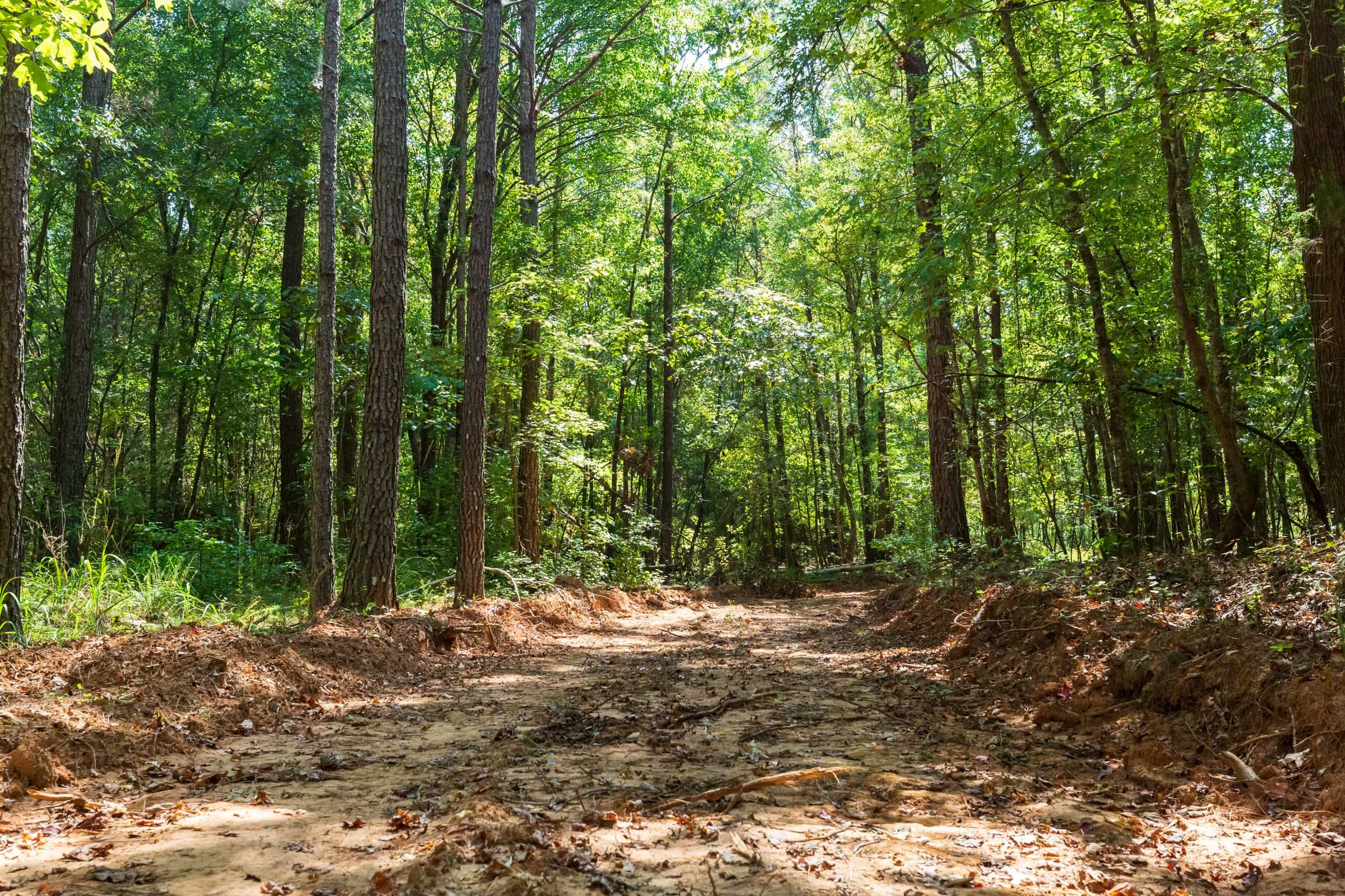Willow Grove Tract 12 photo 1