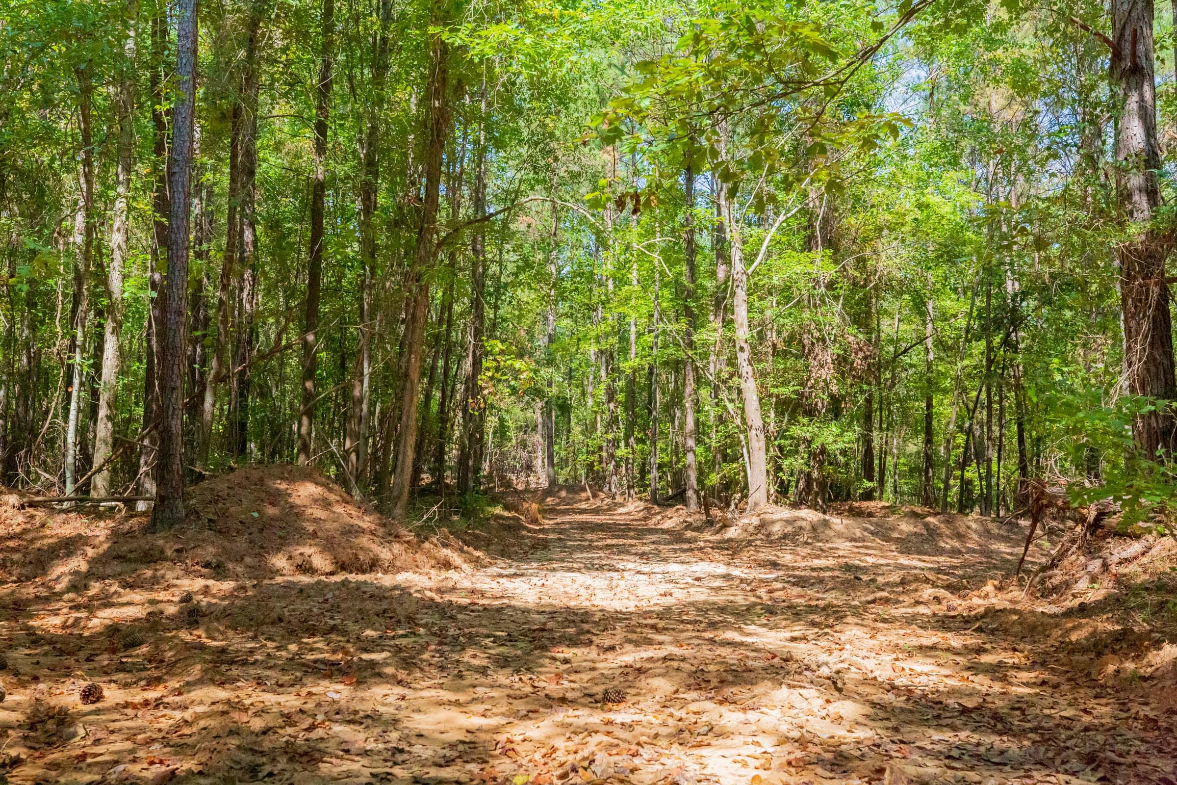 Willow Grove Tract 12 photo 8