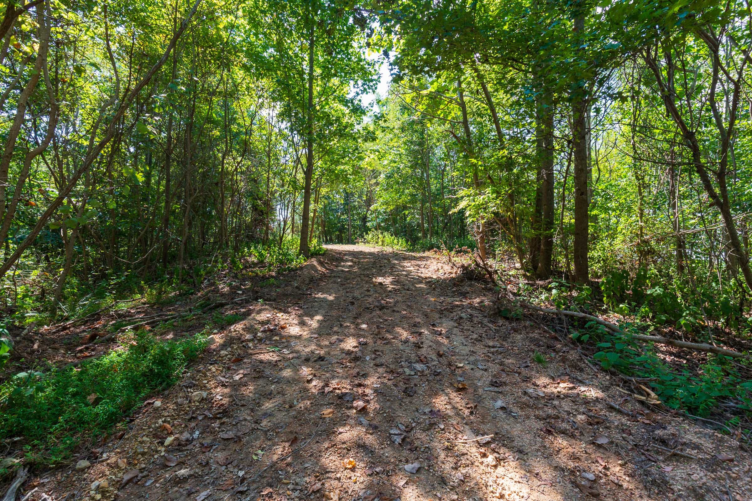 Redemption Ridge Tract 9 photo 3