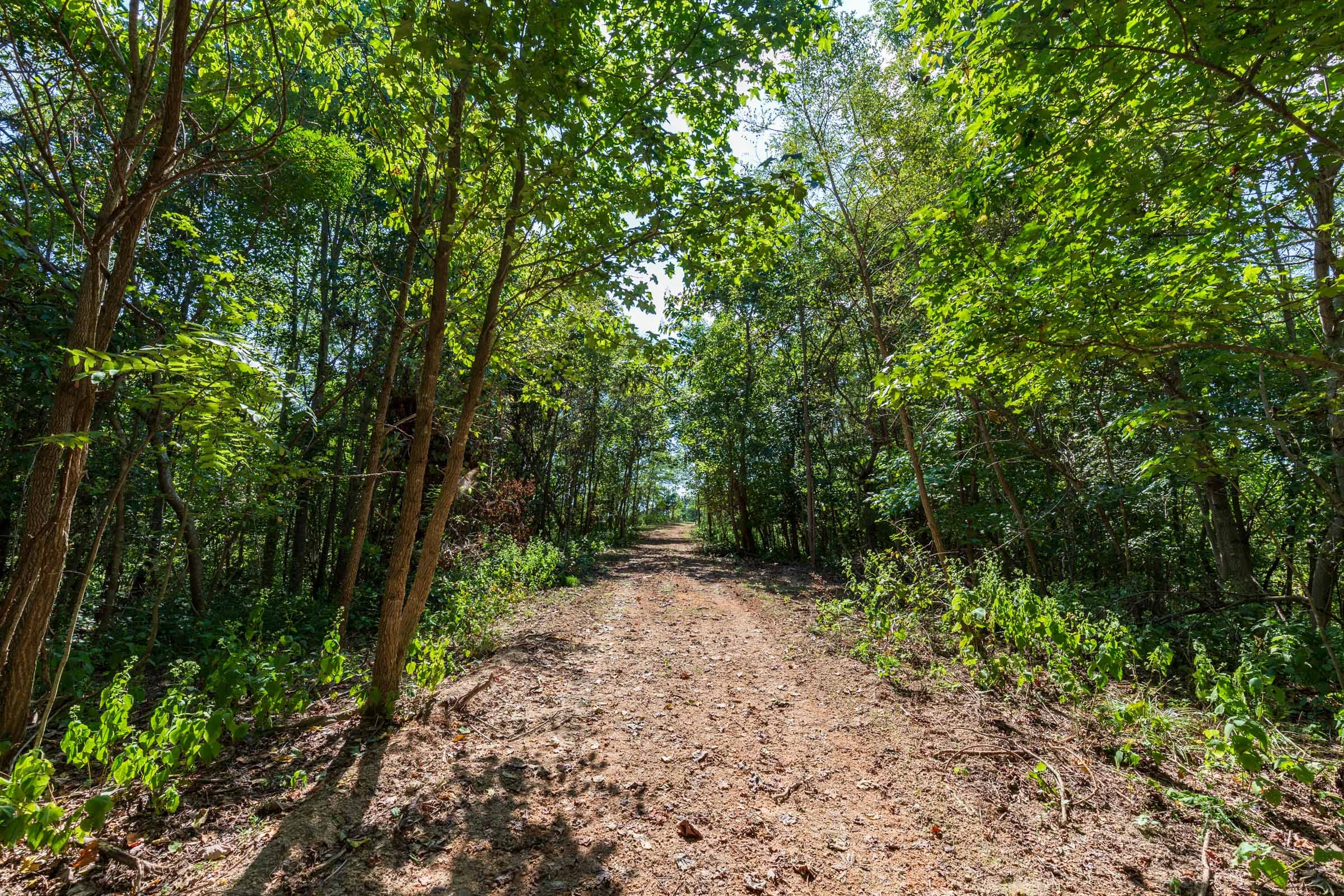 Redemption Ridge Tract 9 photo 5