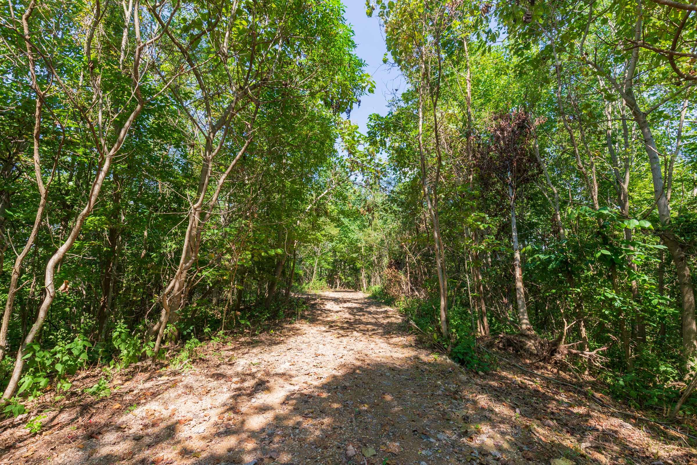 Redemption Ridge Tract 9 photo 7