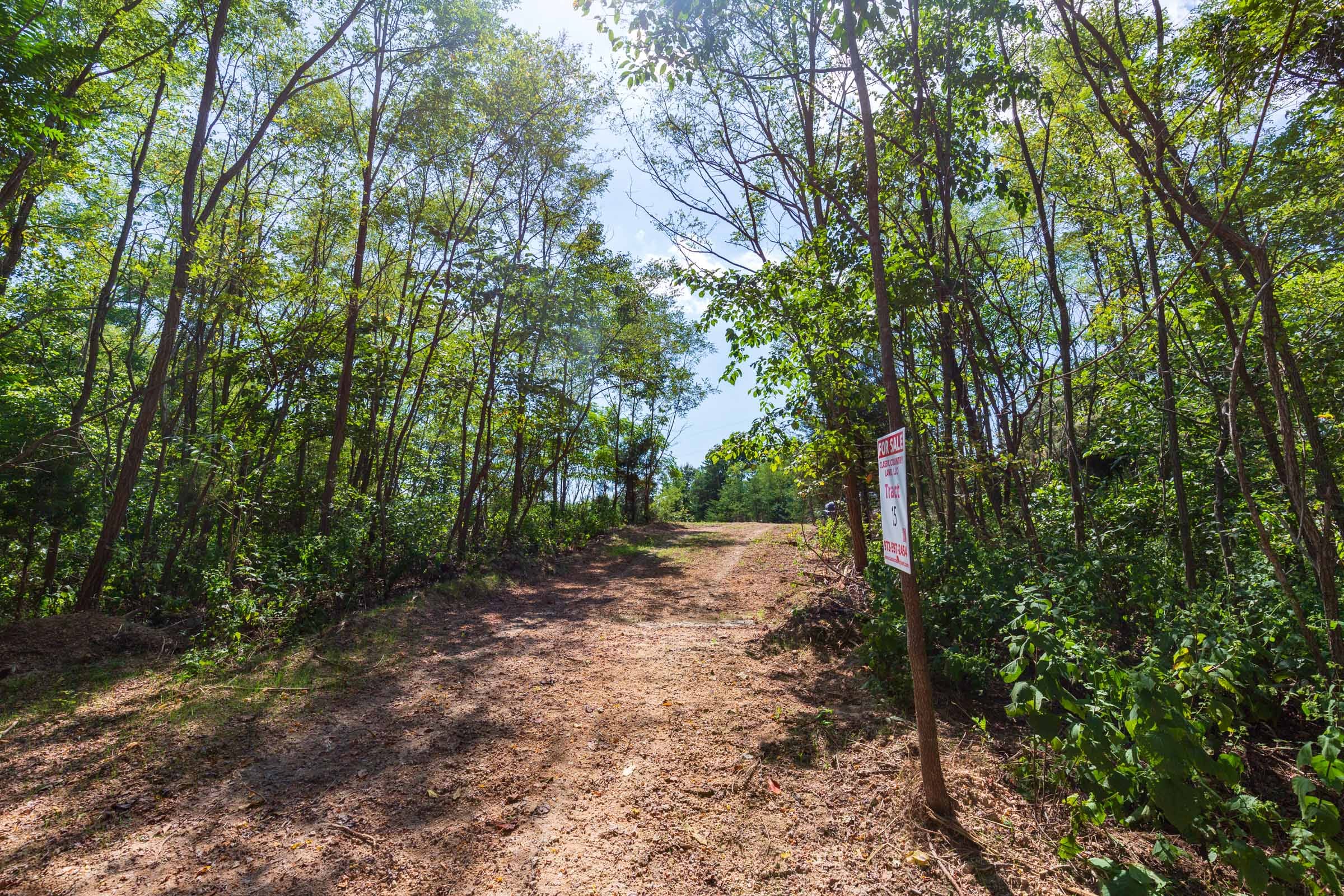 Redemption Ridge Tract 9 photo 9