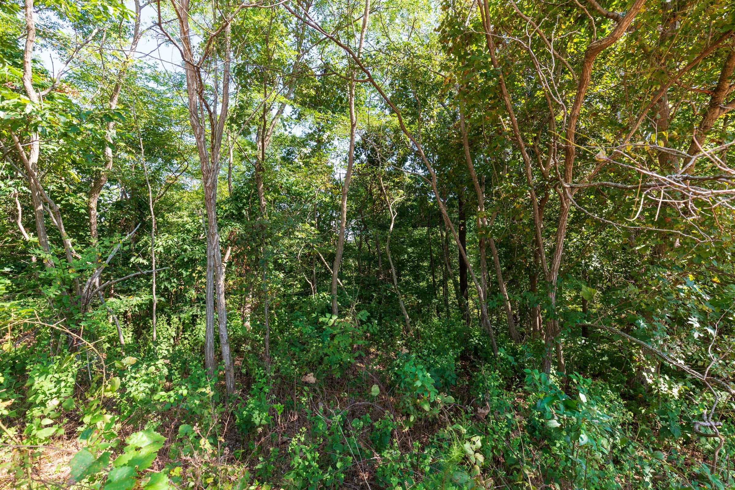 Redemption Ridge Tract 9 photo 12