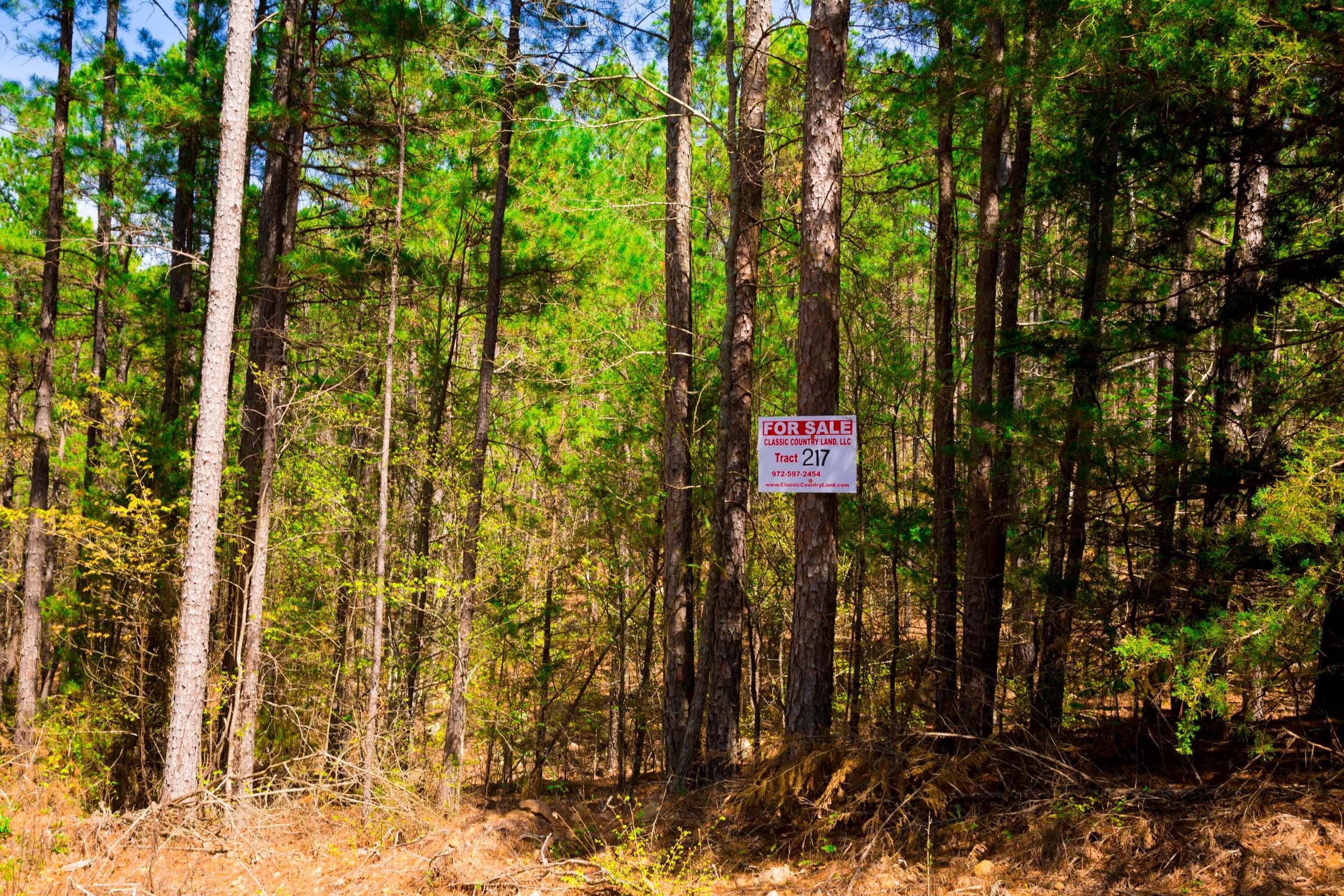 Stone Creek Phase II Tract 217 photo 1