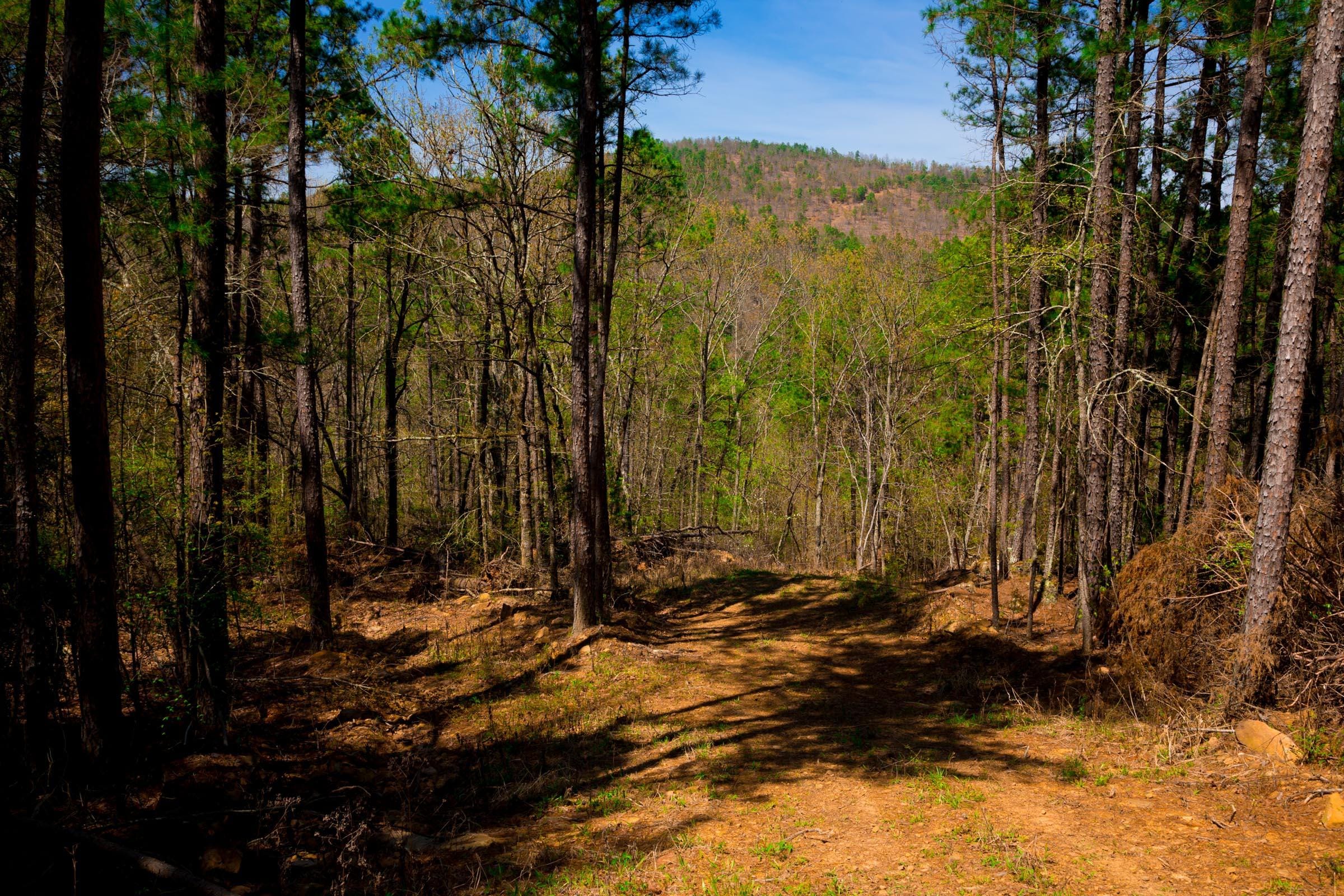 Stone Creek Phase II Tract 217 photo 2