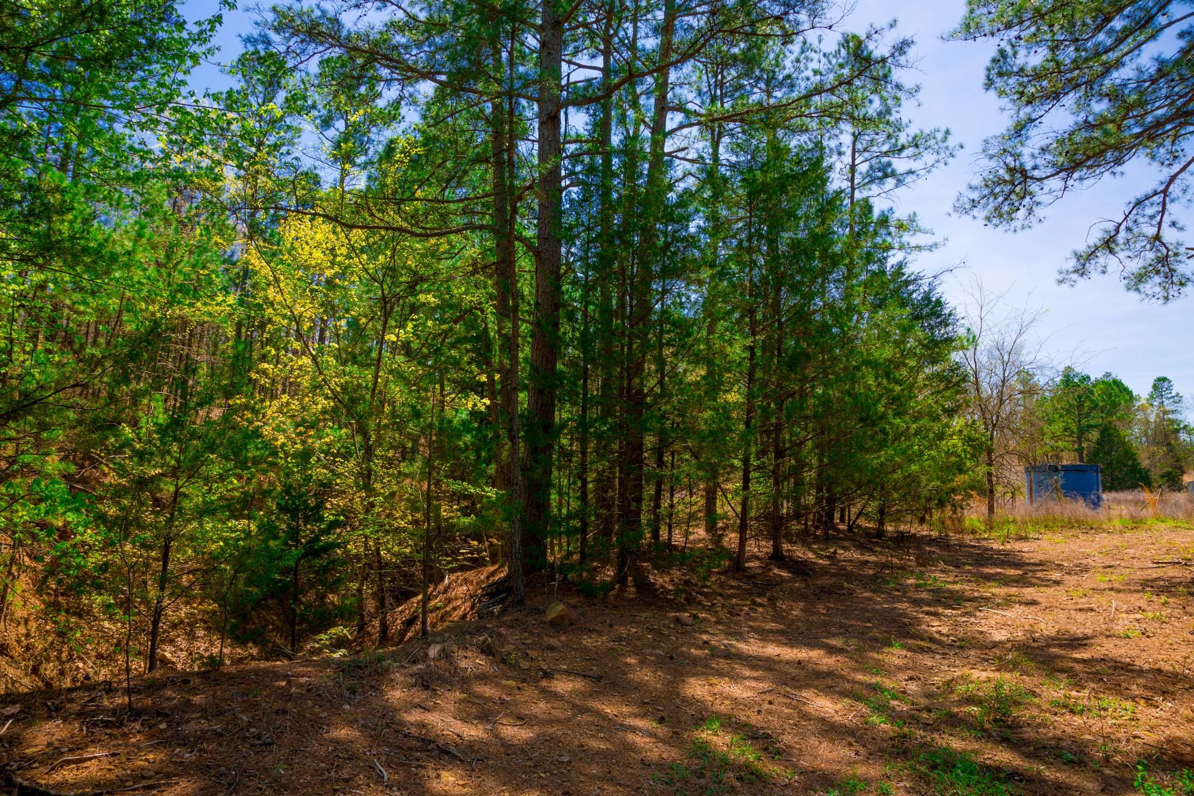 Stone Creek Phase II Tract 217 photo 3