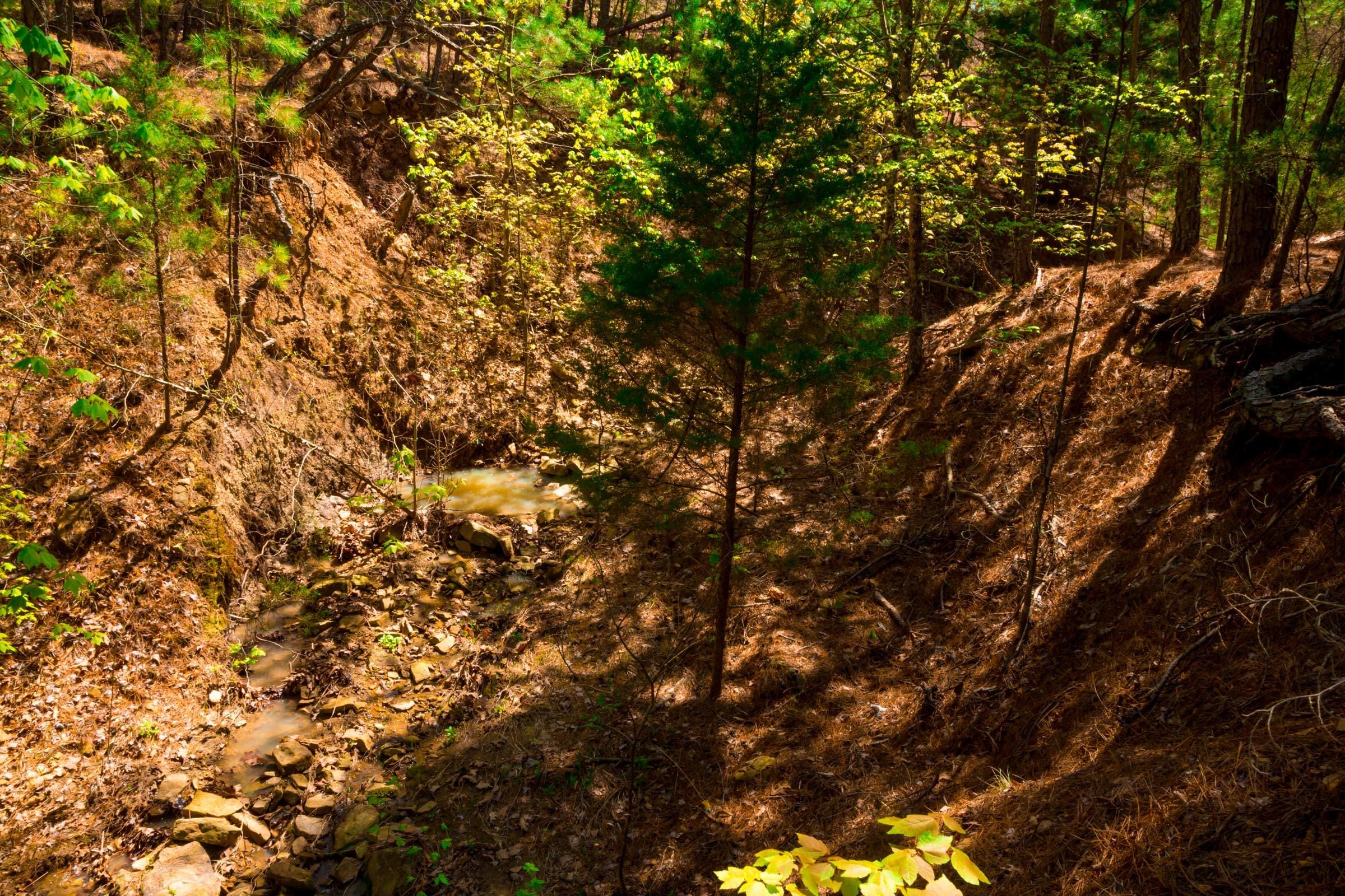 Stone Creek Phase II Tract 217 photo 5
