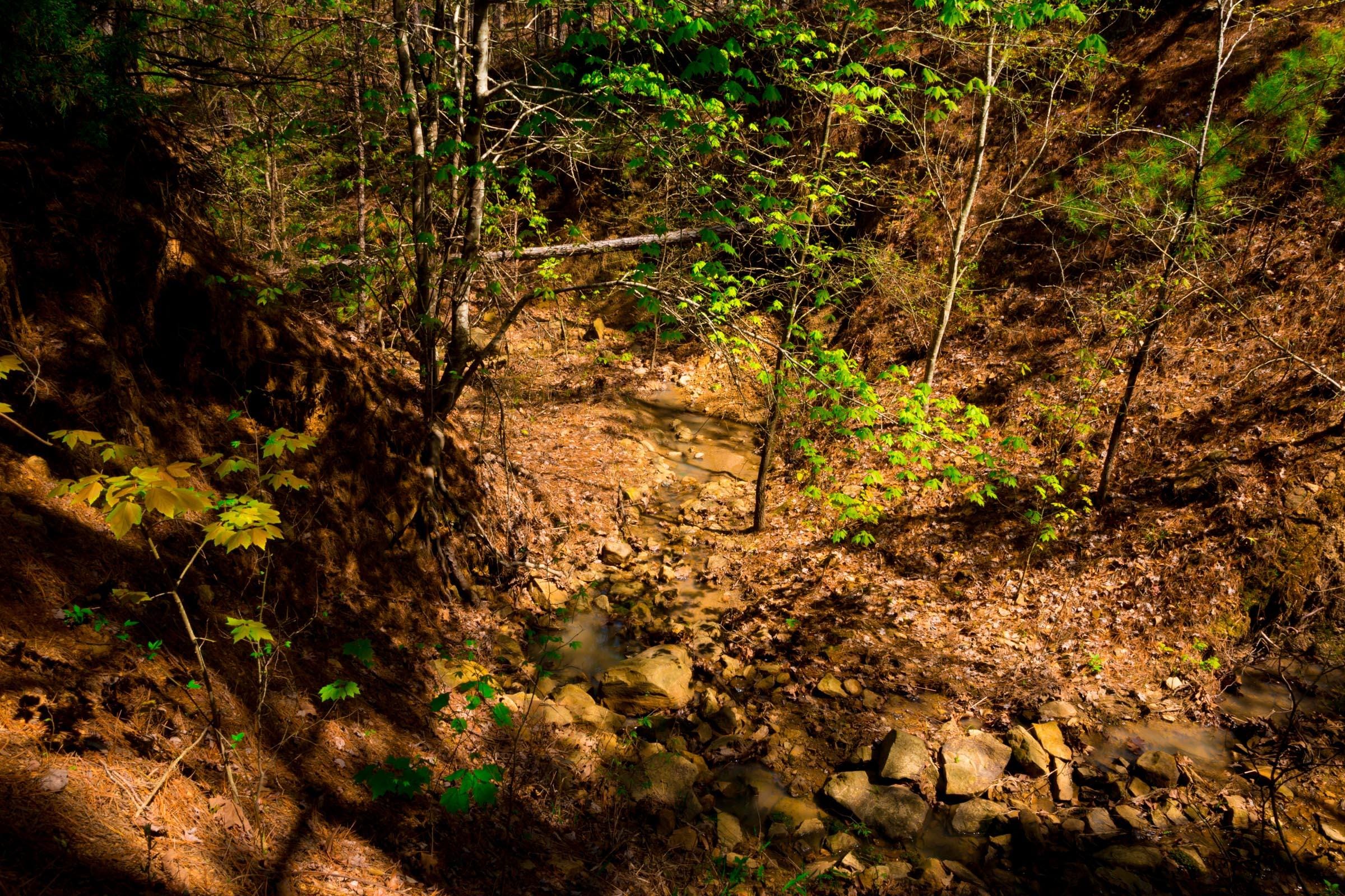 Stone Creek Phase II Tract 217 photo 6