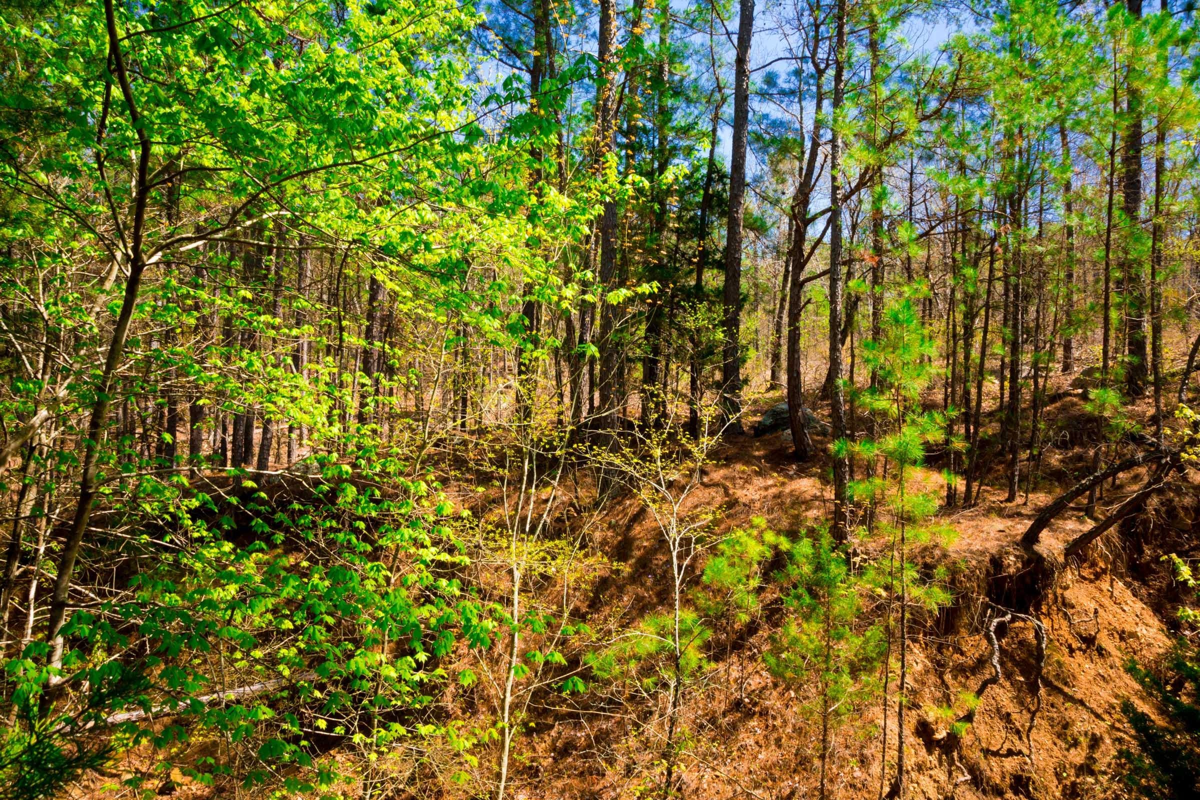 Stone Creek Phase II Tract 217 photo 7