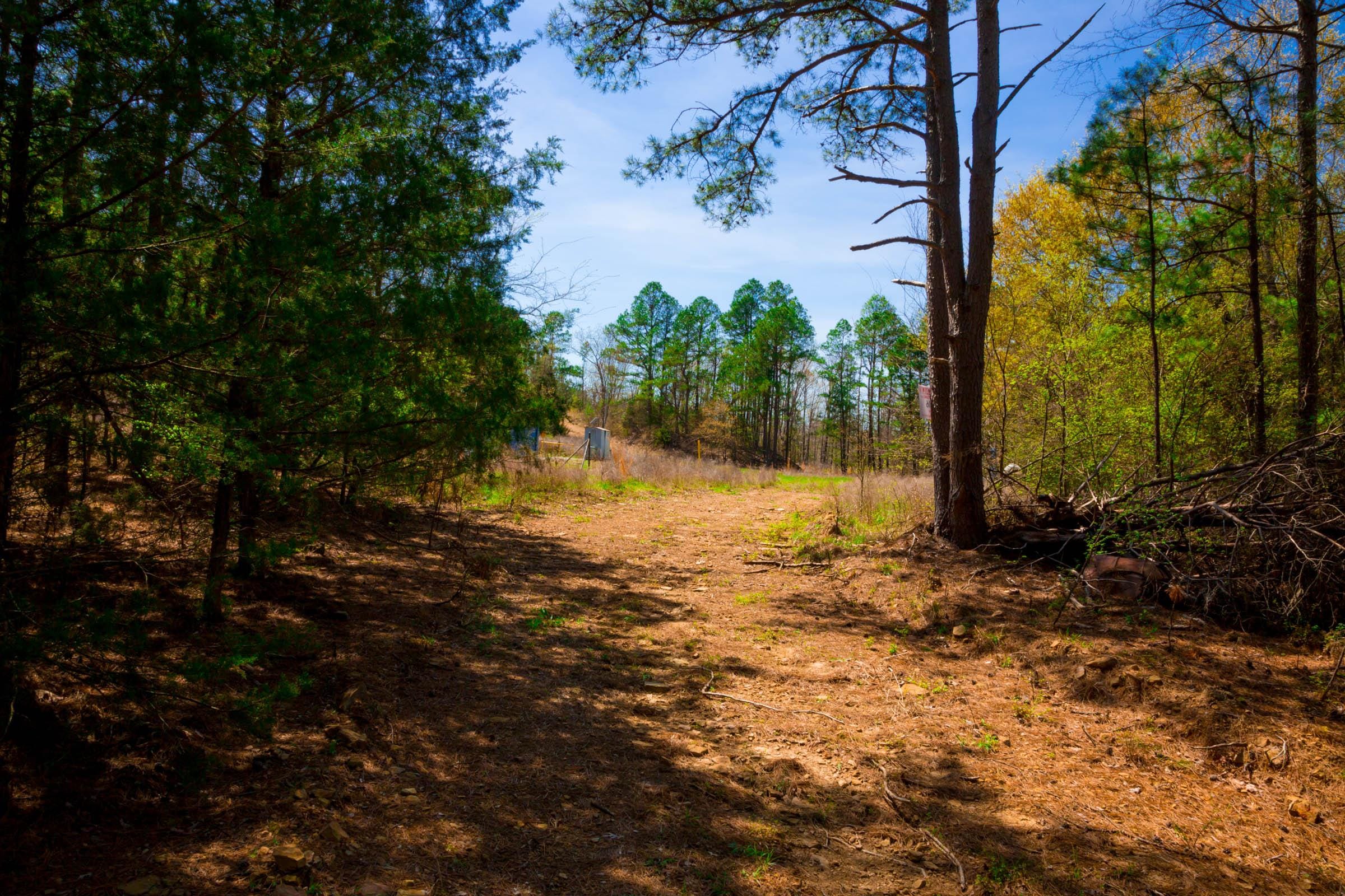 Stone Creek Phase II Tract 217 photo 9