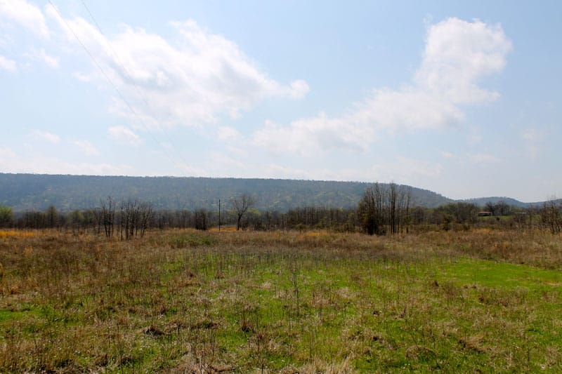 Daisy Meadows Tract 16 photo 3