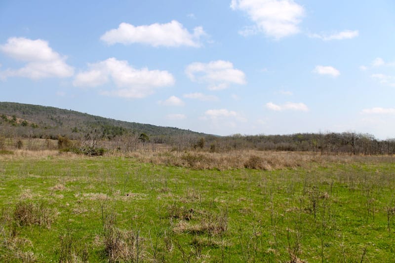 Daisy Meadows Tract 16 photo 7