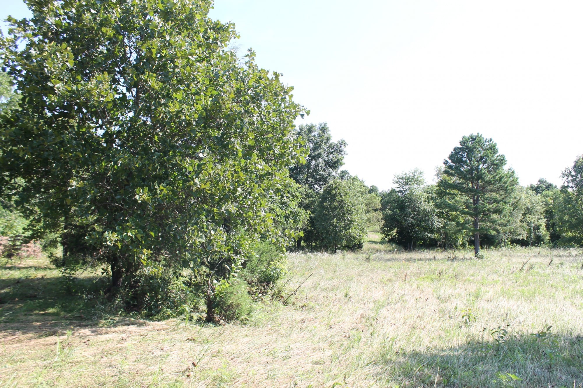 Green Mountain Ranch Tract 9 photo 1