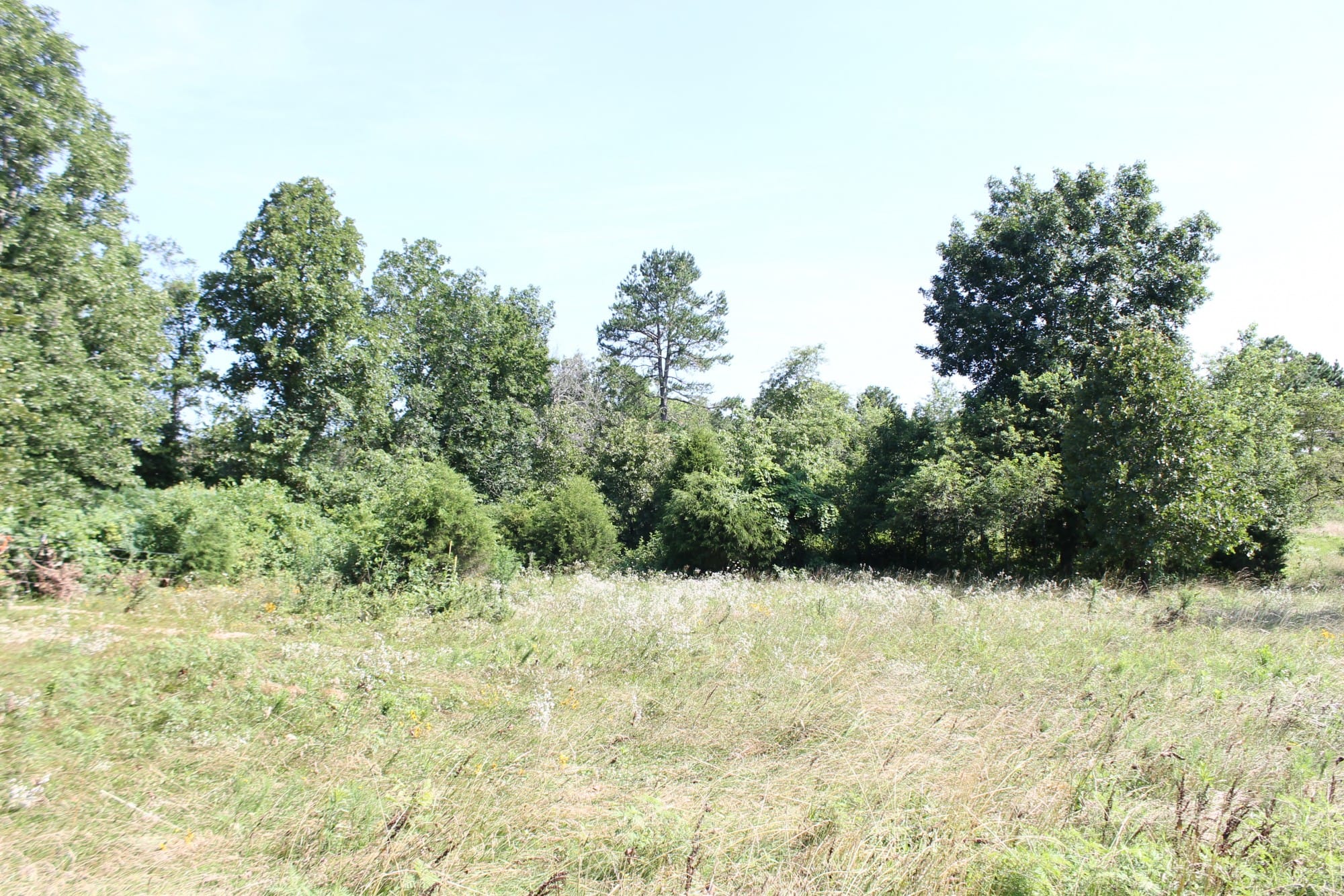 Green Mountain Ranch Tract 9 photo 2