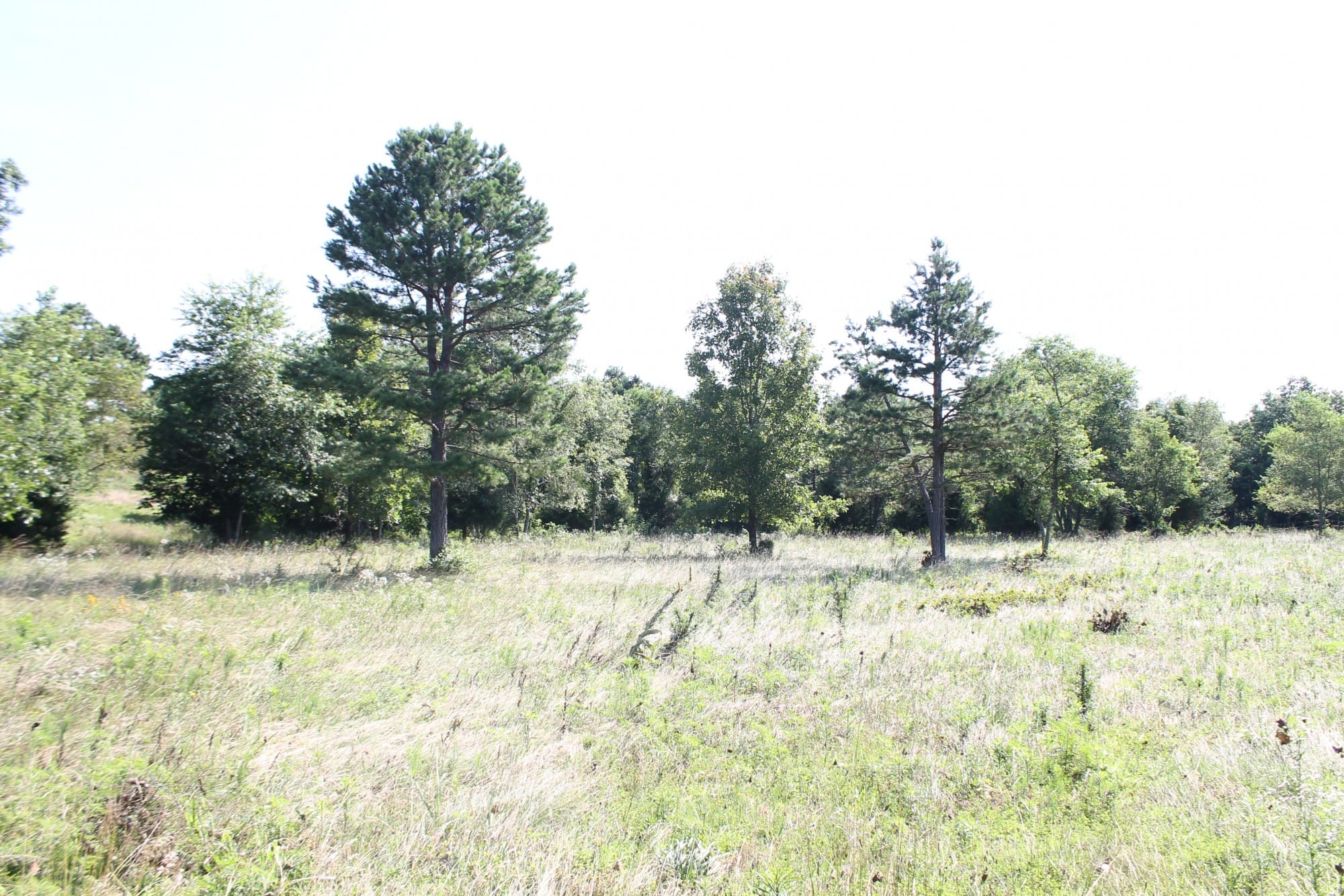 Green Mountain Ranch Tract 9 photo 3