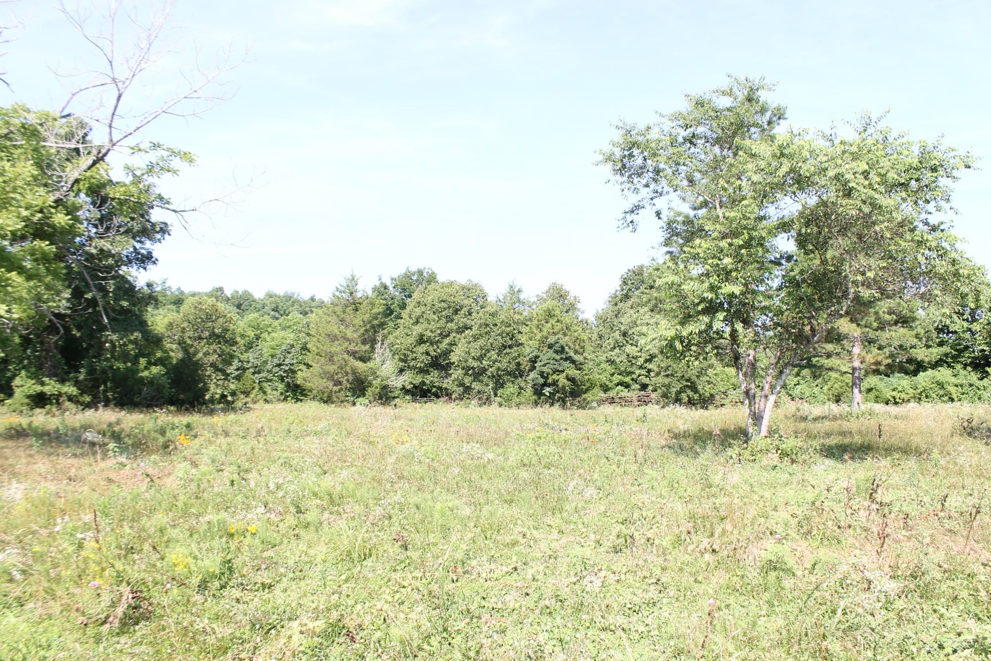 Green Mountain Ranch Tract 9 photo 5
