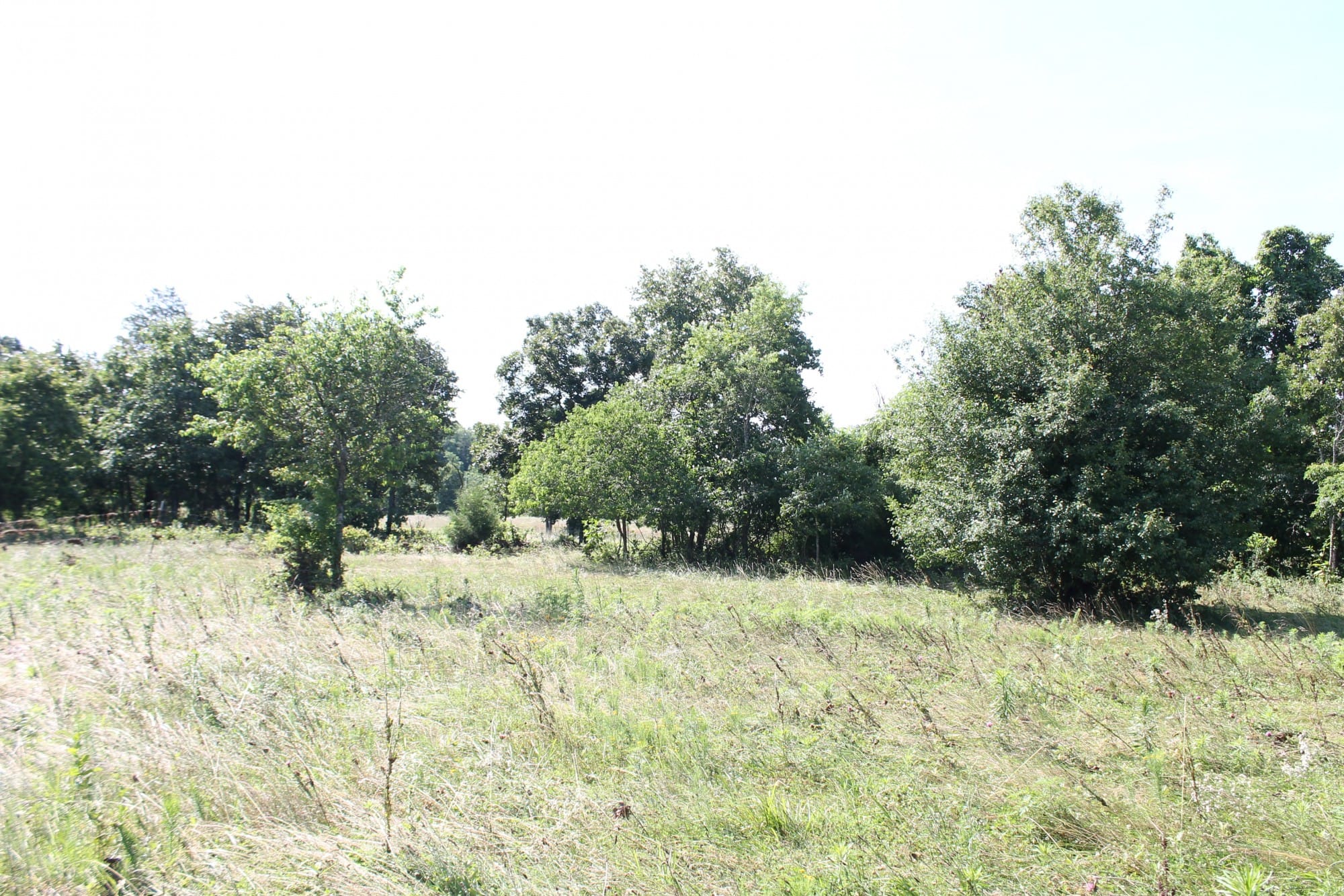 Green Mountain Ranch Tract 9 photo 6