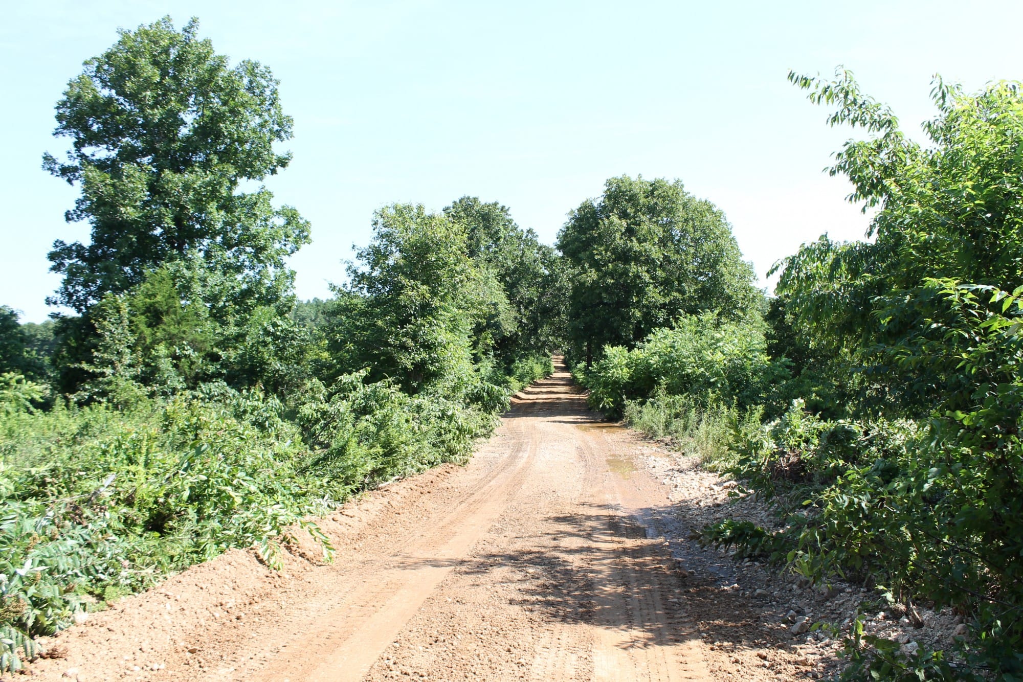 Green Mountain Ranch Tract 9 photo 7