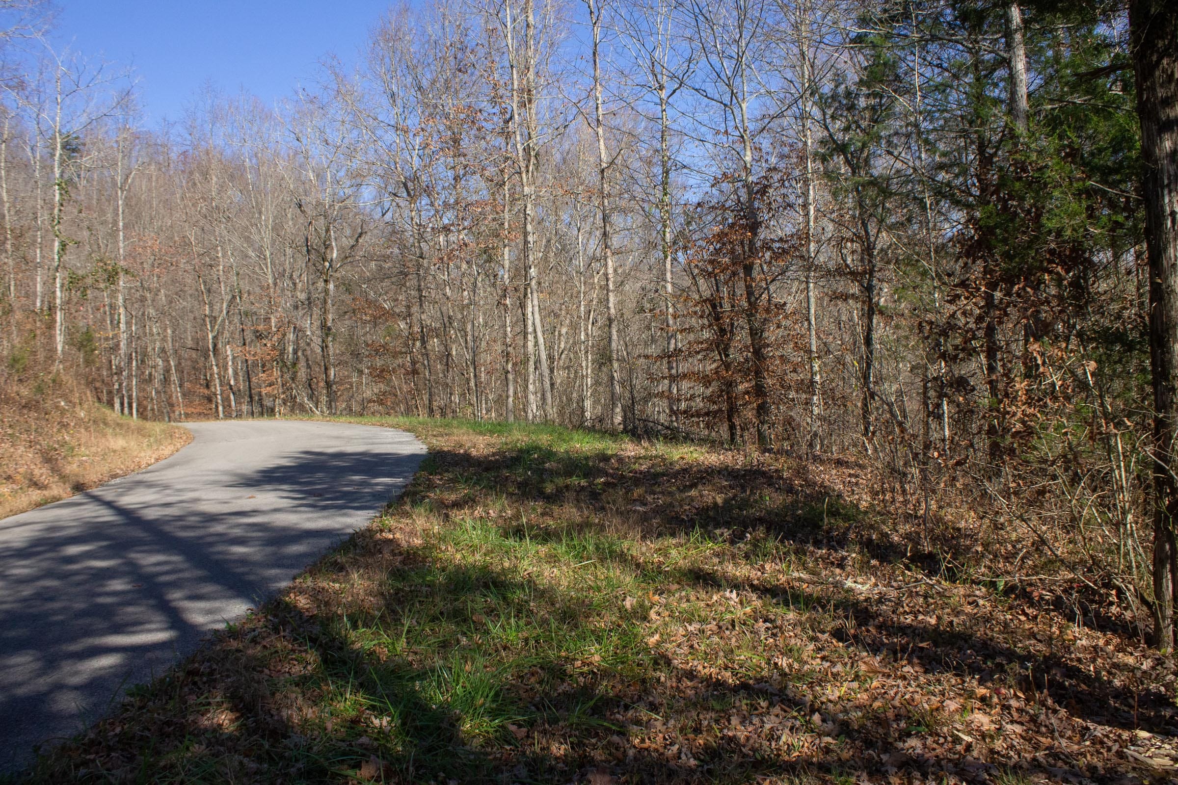 The Cliffs Tract 1 photo 2