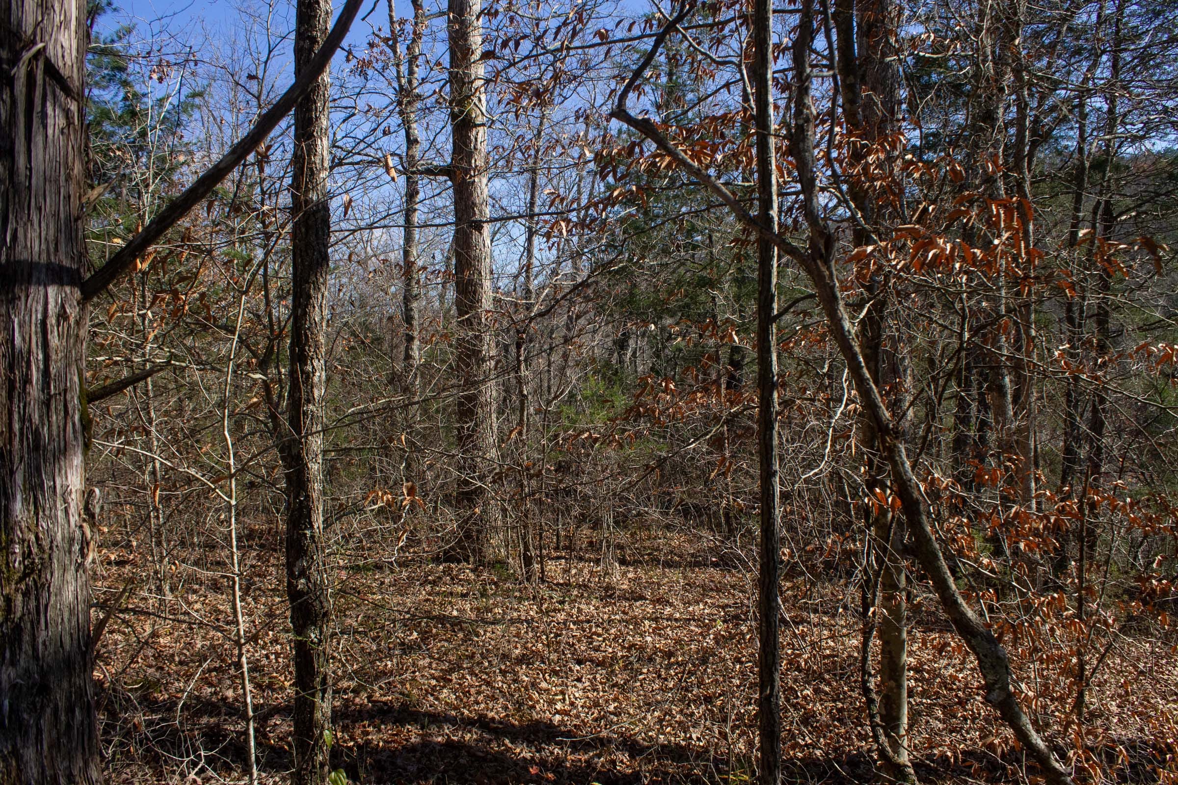 The Cliffs Tract 1 photo 3